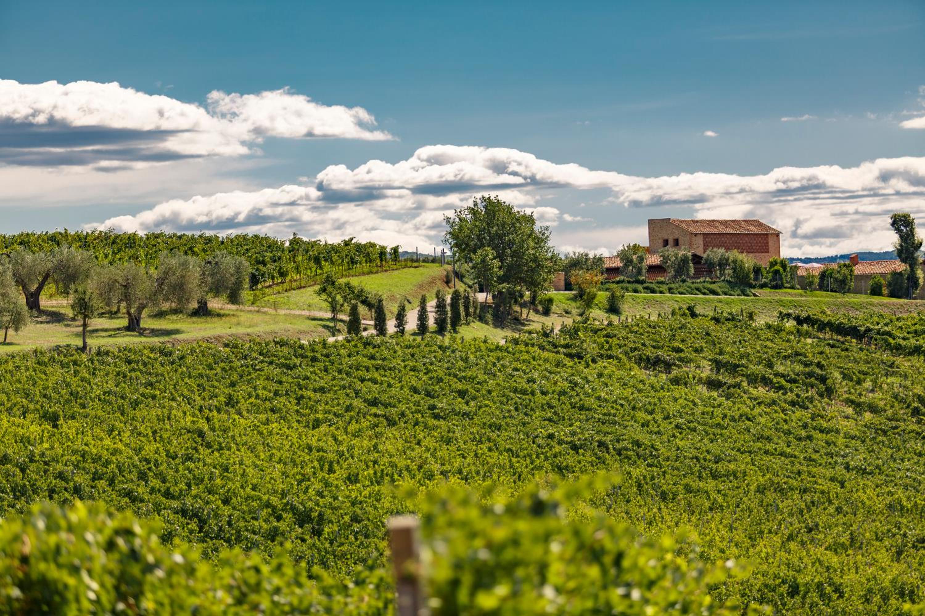 Wine Relais In Montecucco - ColleMassari Hospitality