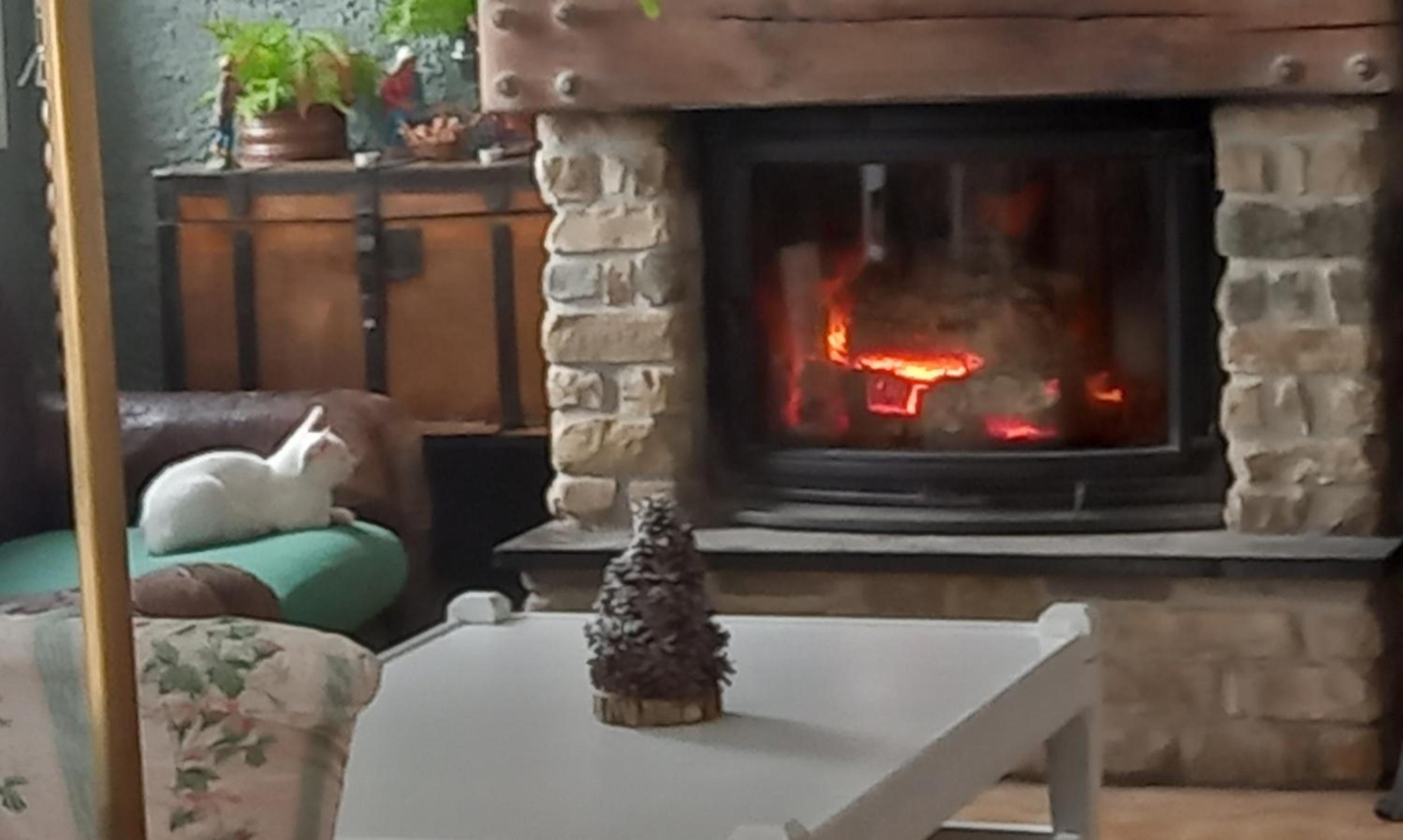 B&B Le Camelie del Bosco