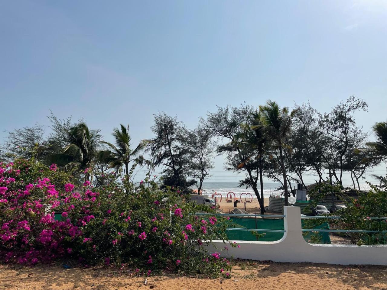 The Baga Wave's Edge