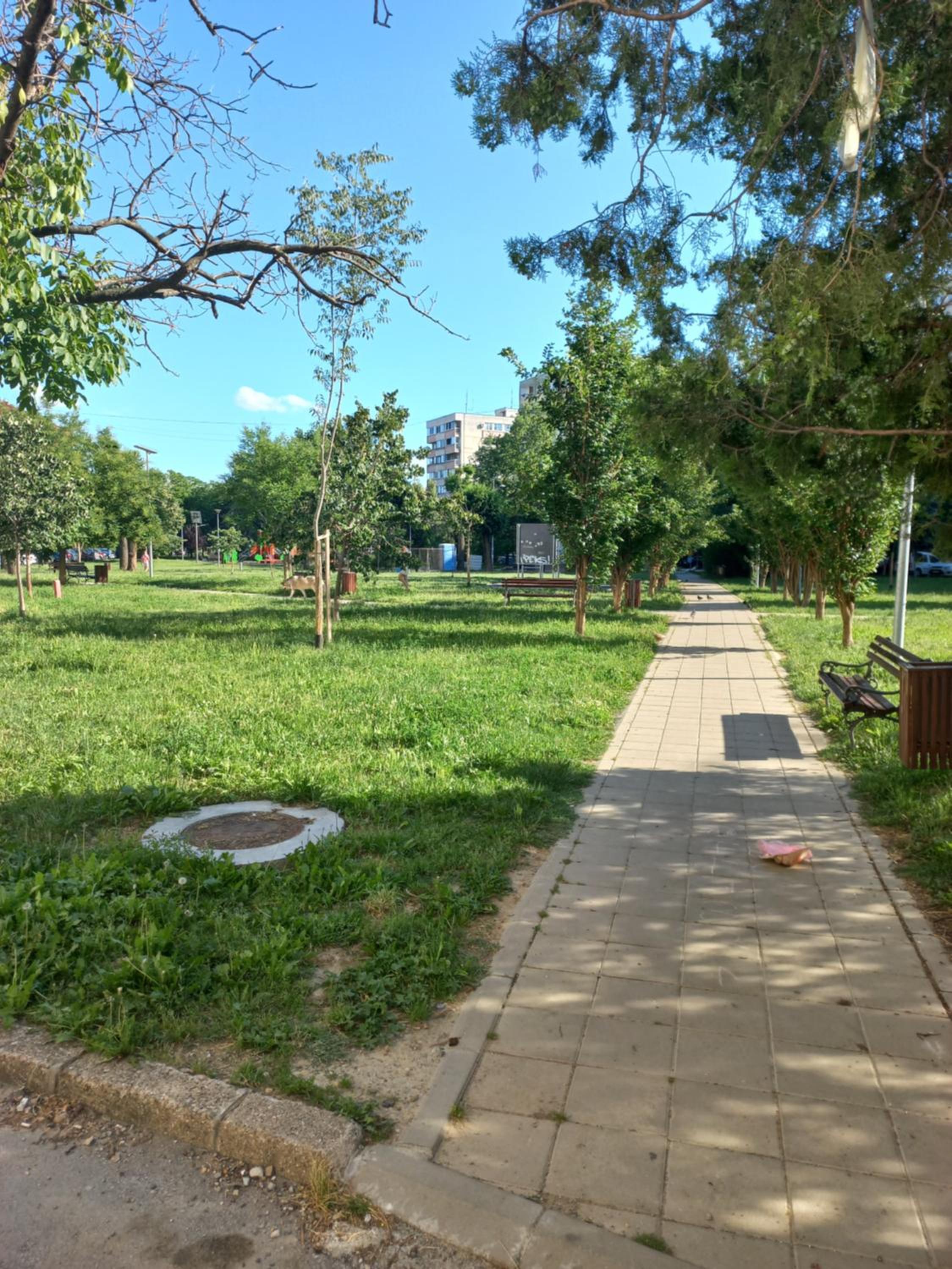 Photo 31