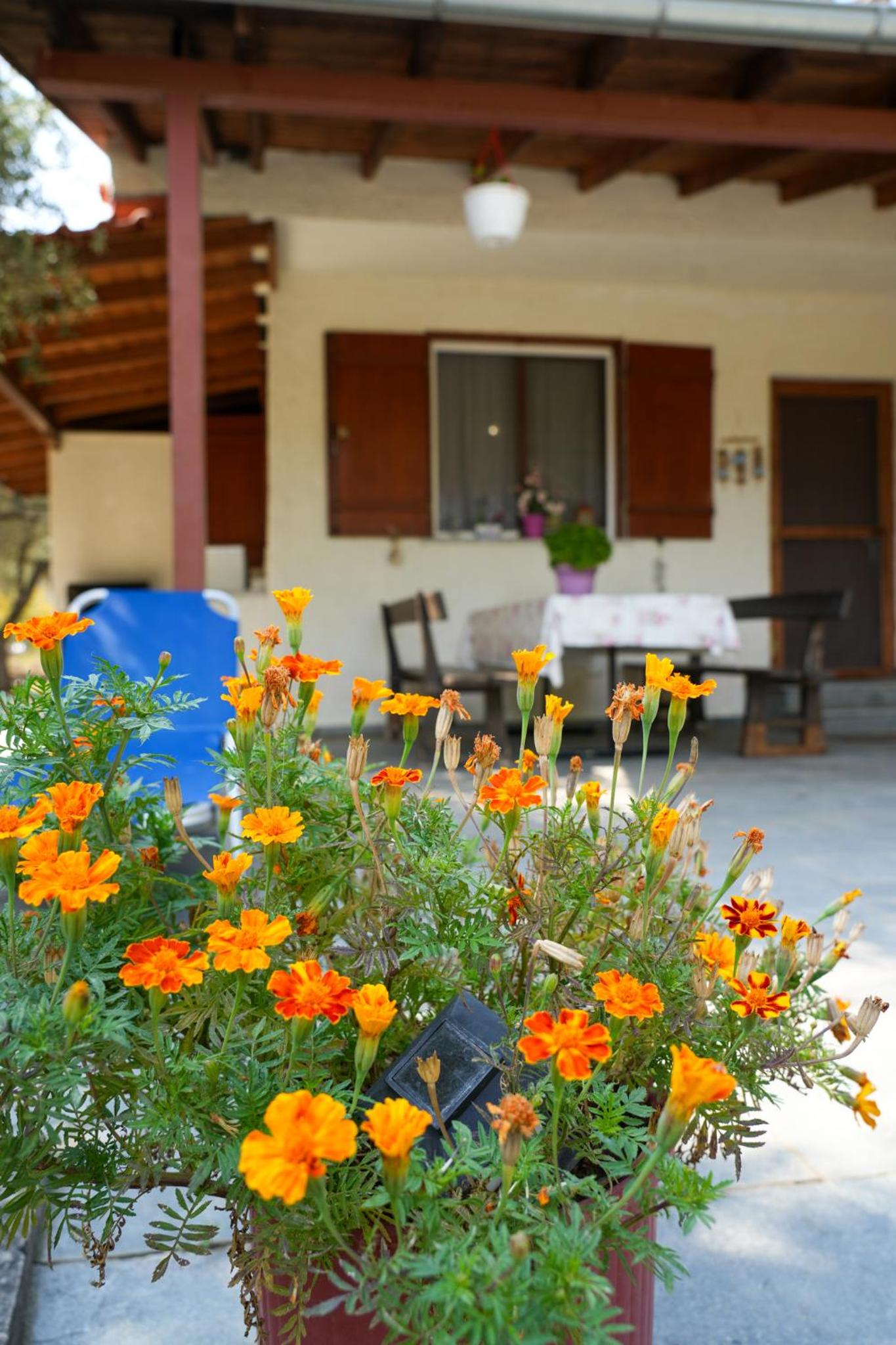 Olive Summer House view 4