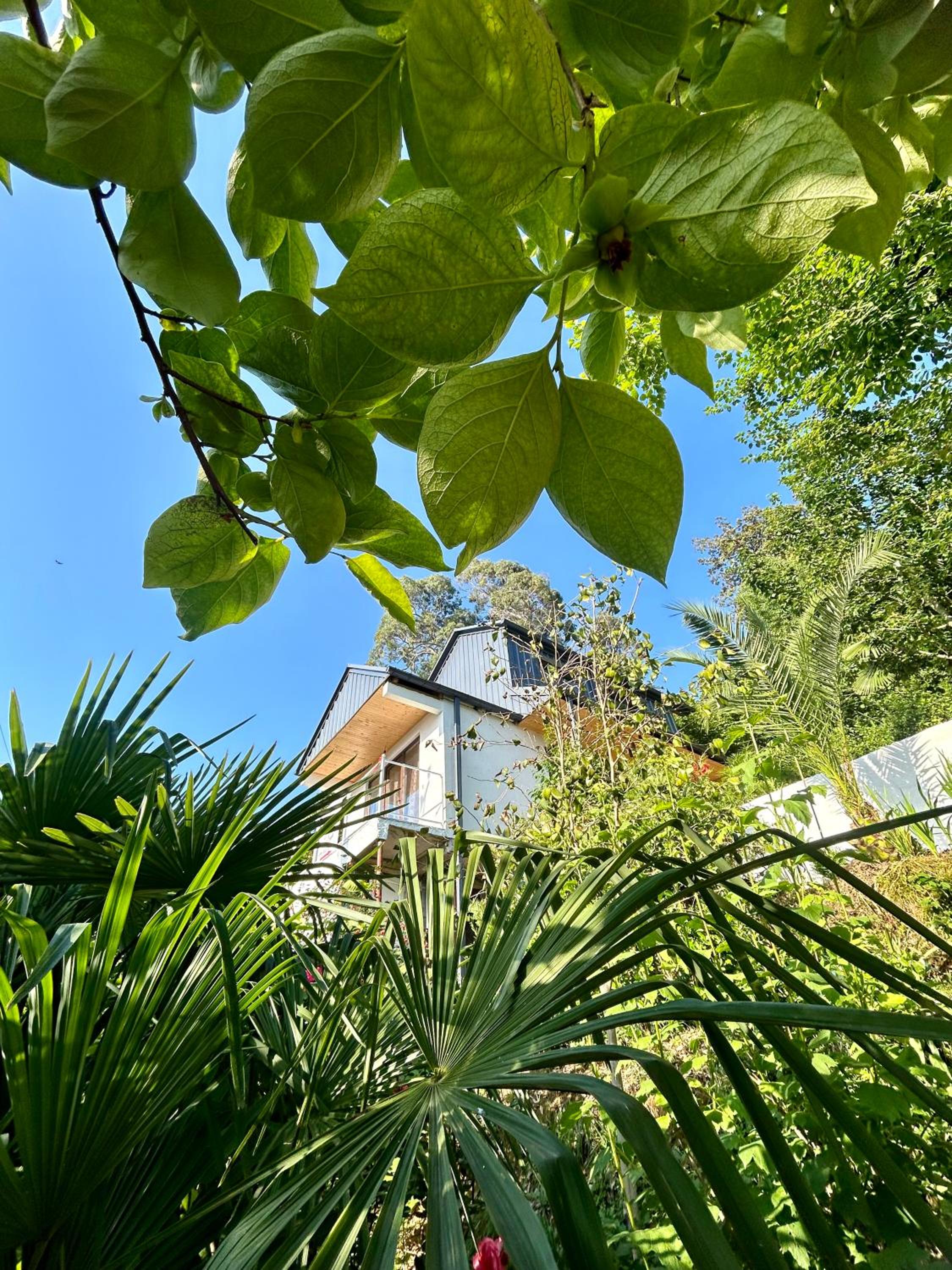 Villa Paradise