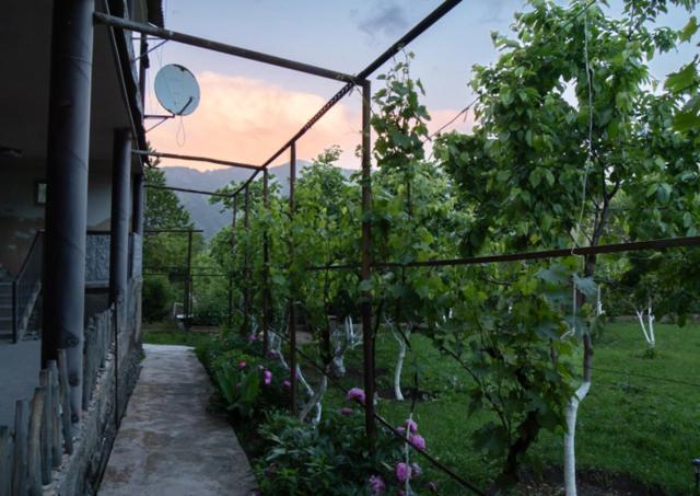 HamEl Guest House