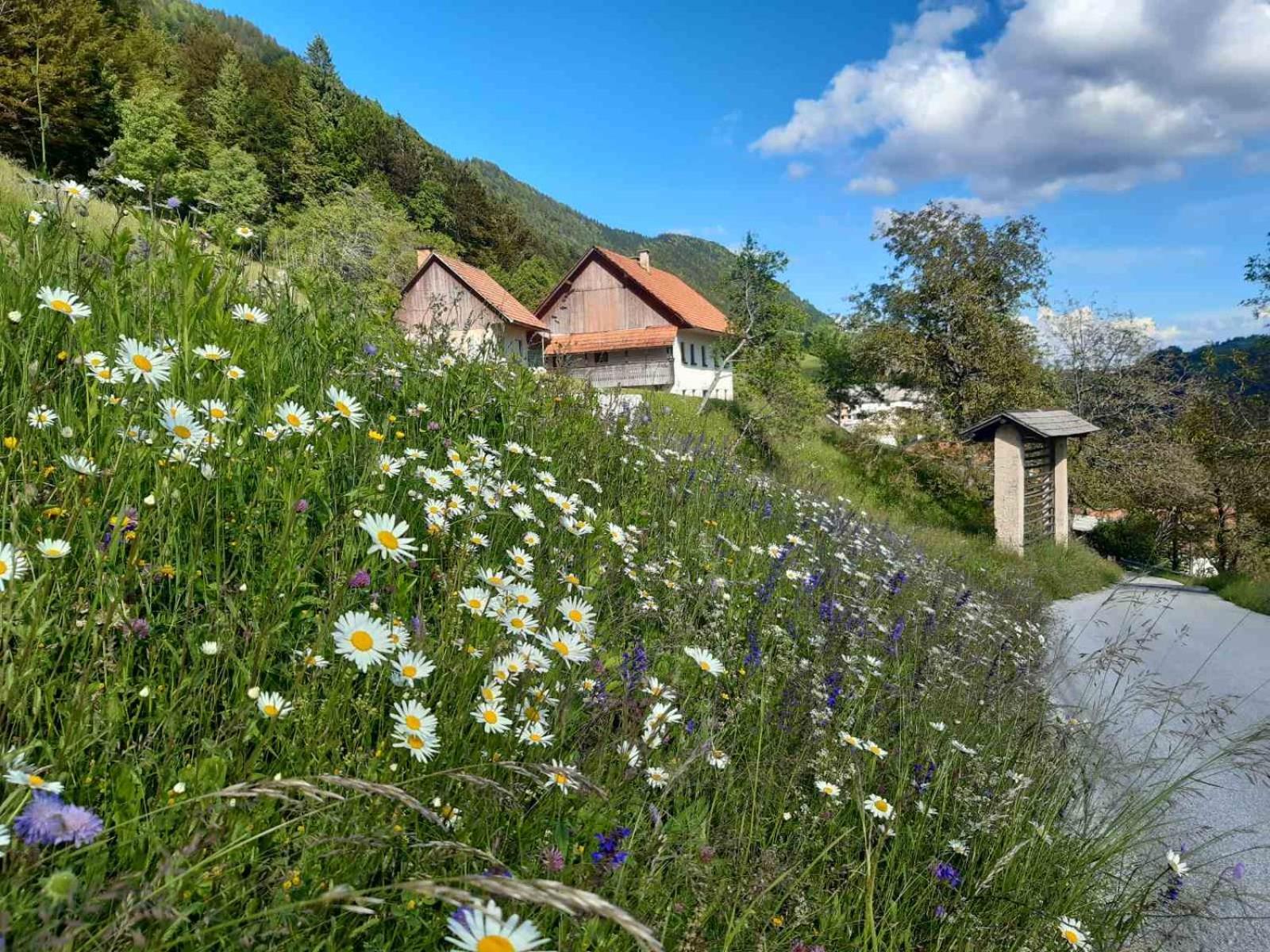 Miklavževa hiša with a bread oven view 2