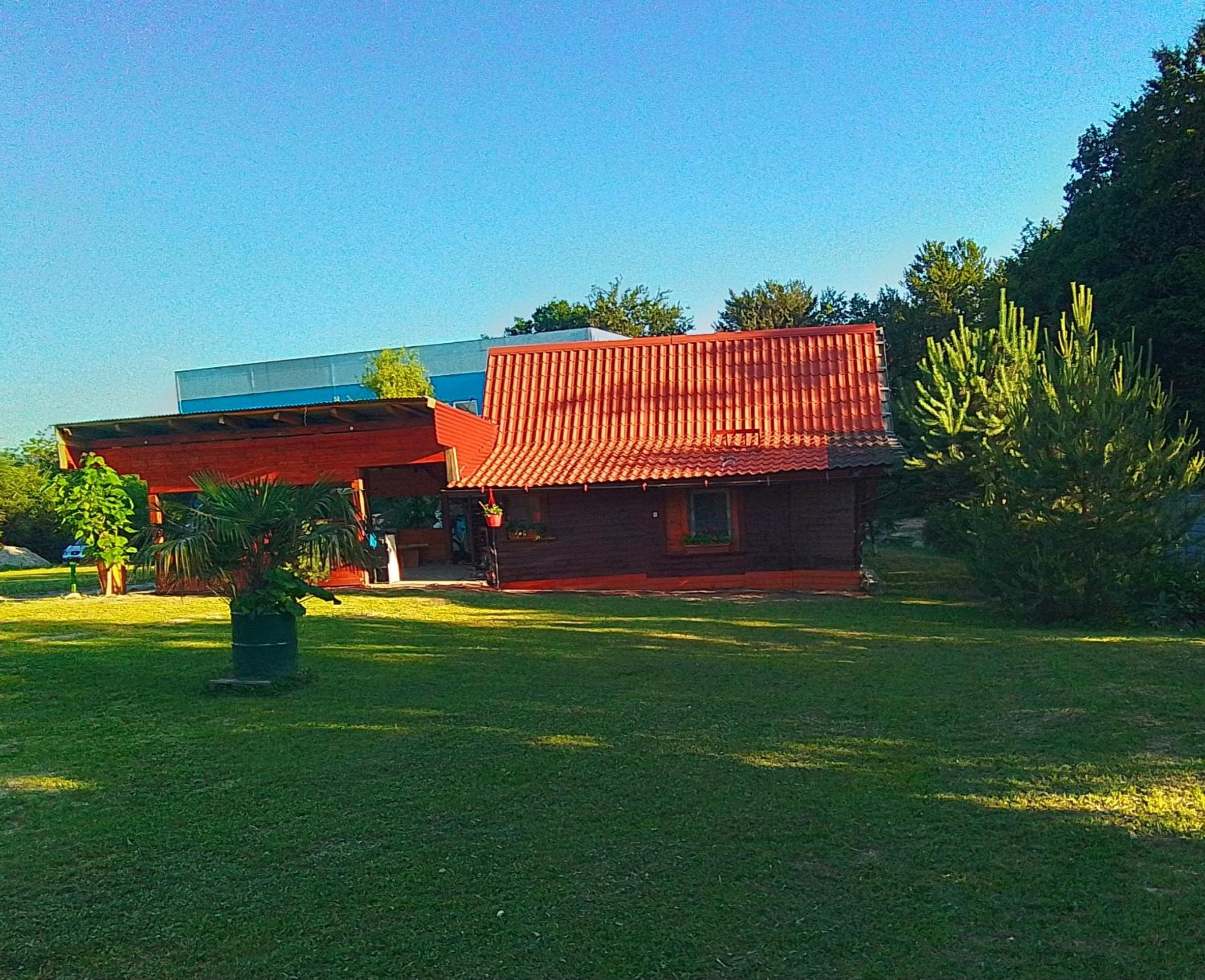 Photo 13