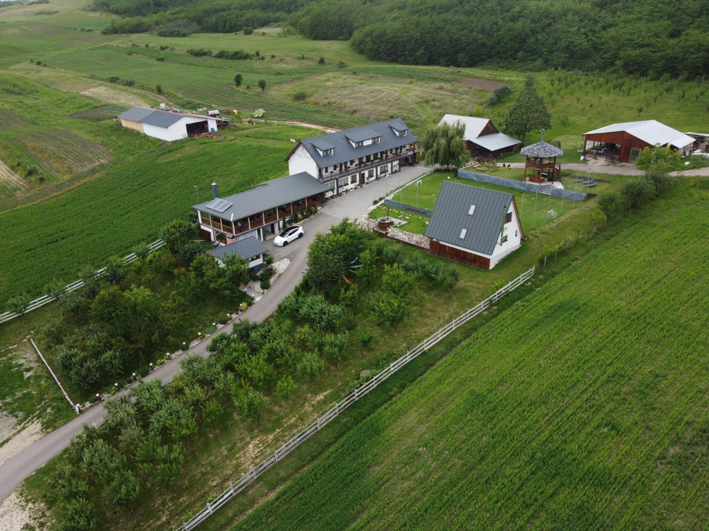 Pensiunea Fata Viilor