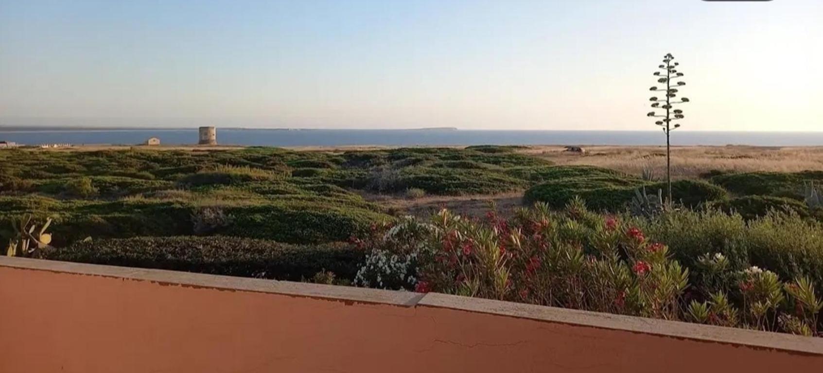 Villetta Macchia Mediterranea