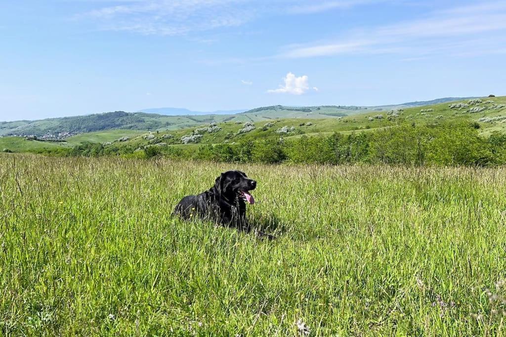 Vakantiehuis Vendégház Sylvatica