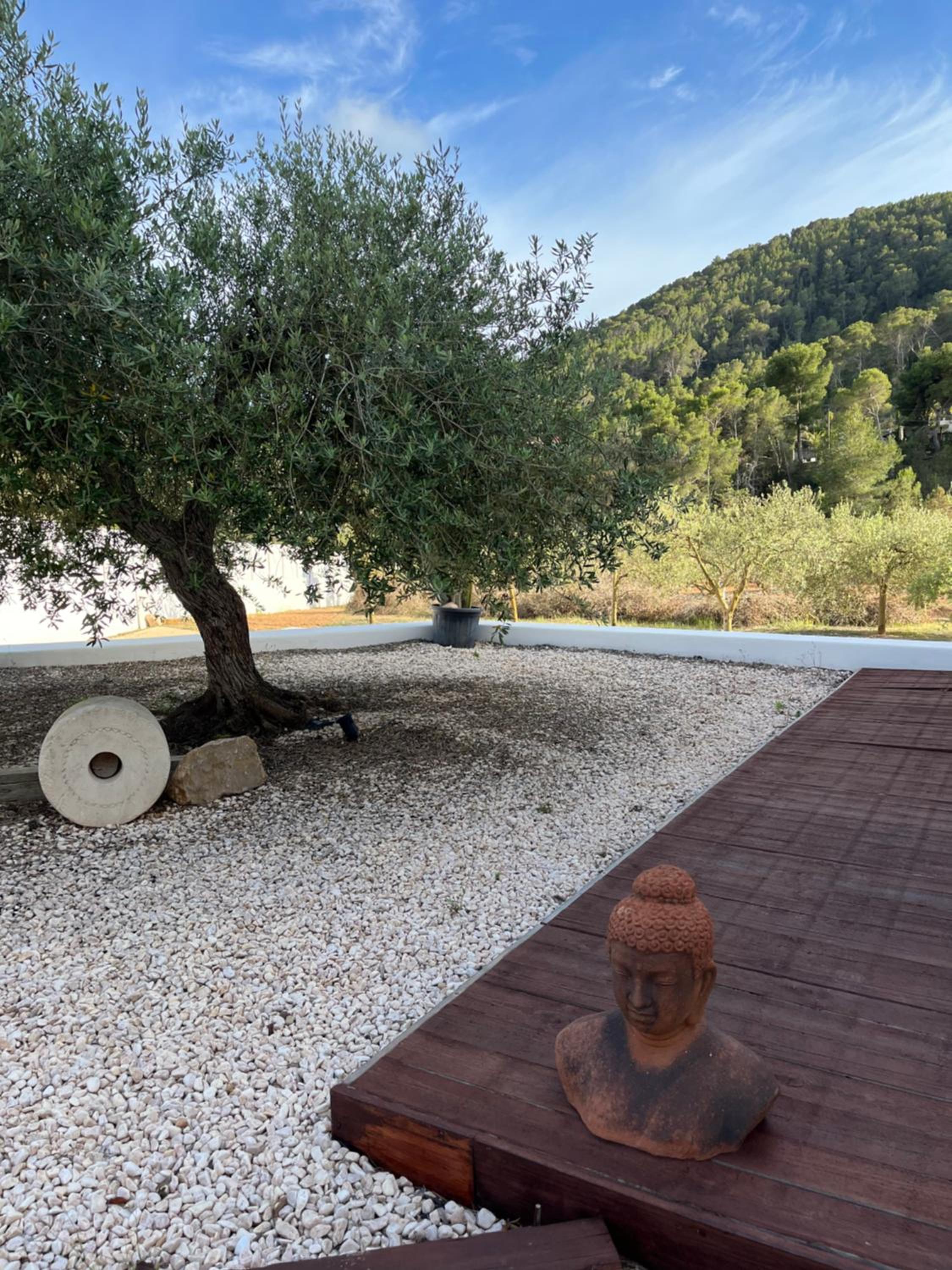 Ses Oliveres