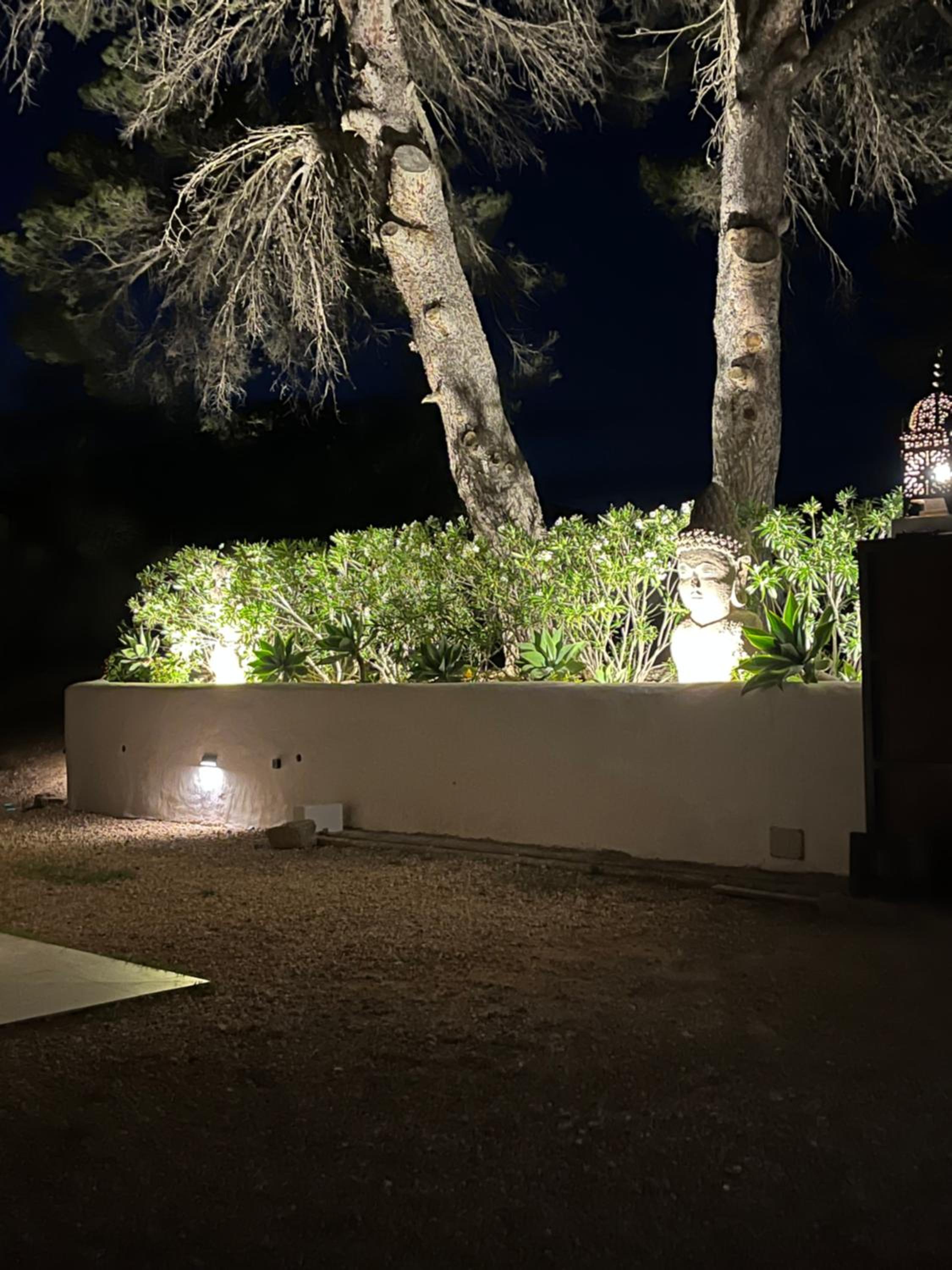 Ses Oliveres