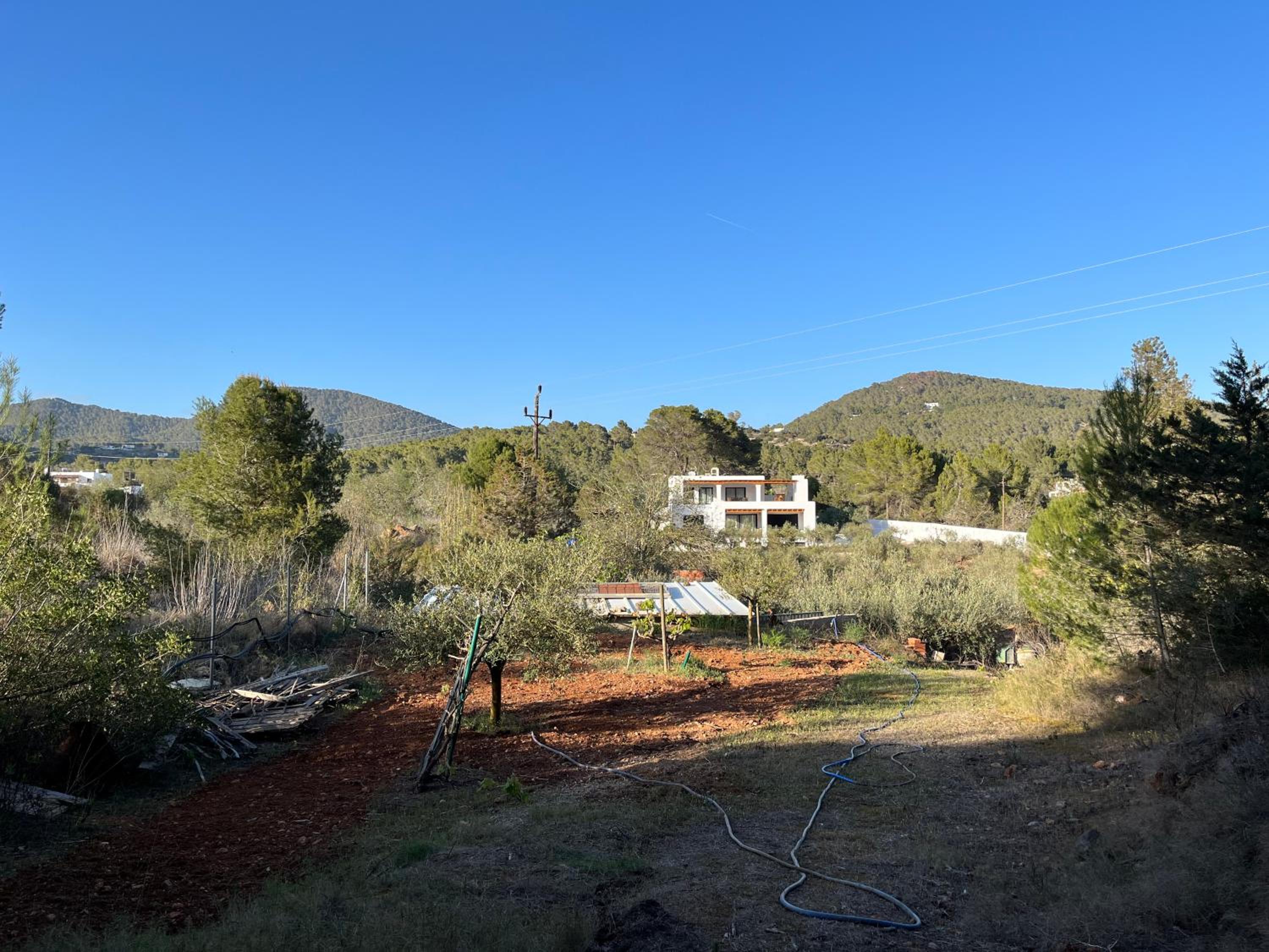 Ses Oliveres
