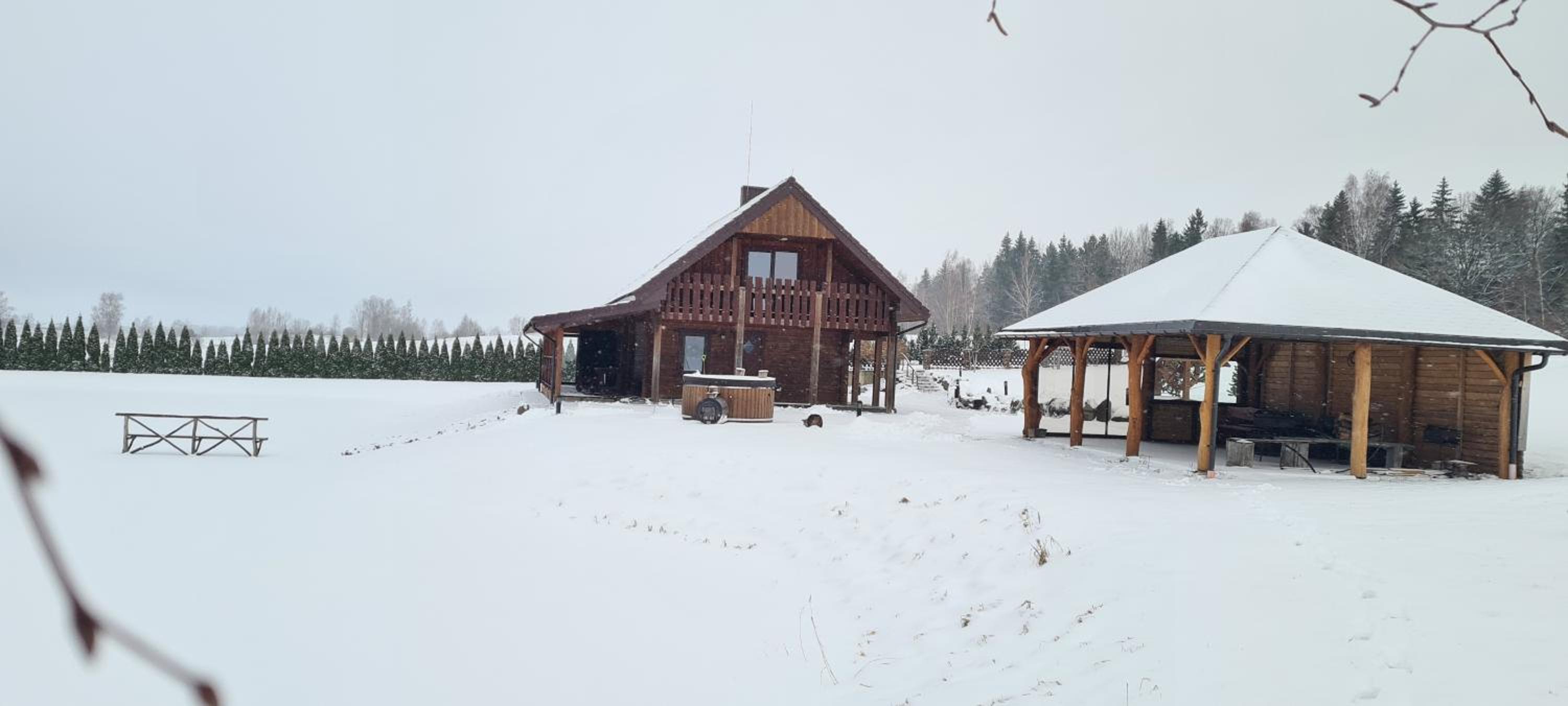 Photo 8