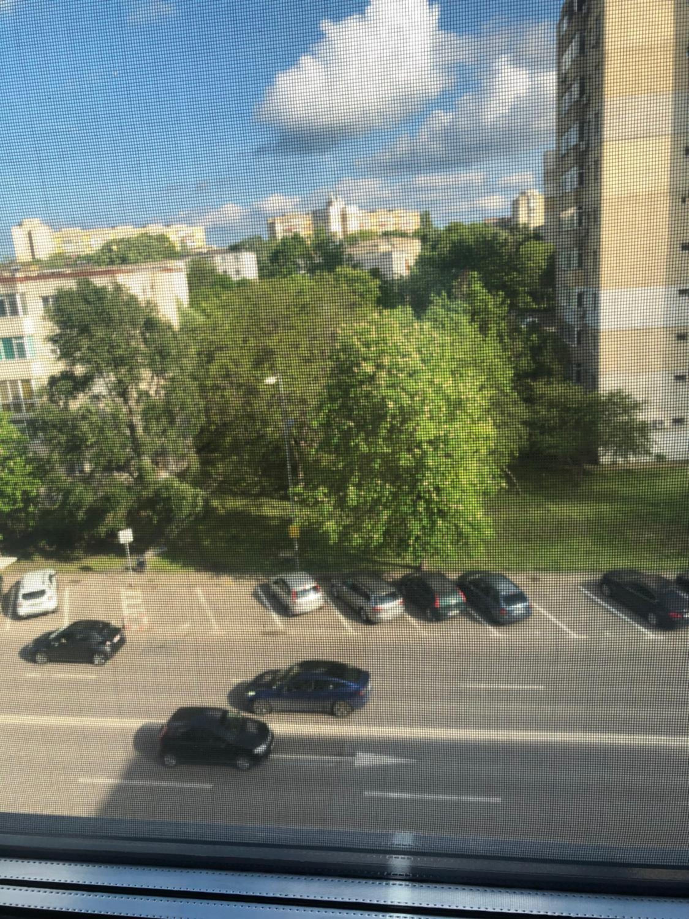 Photo 18