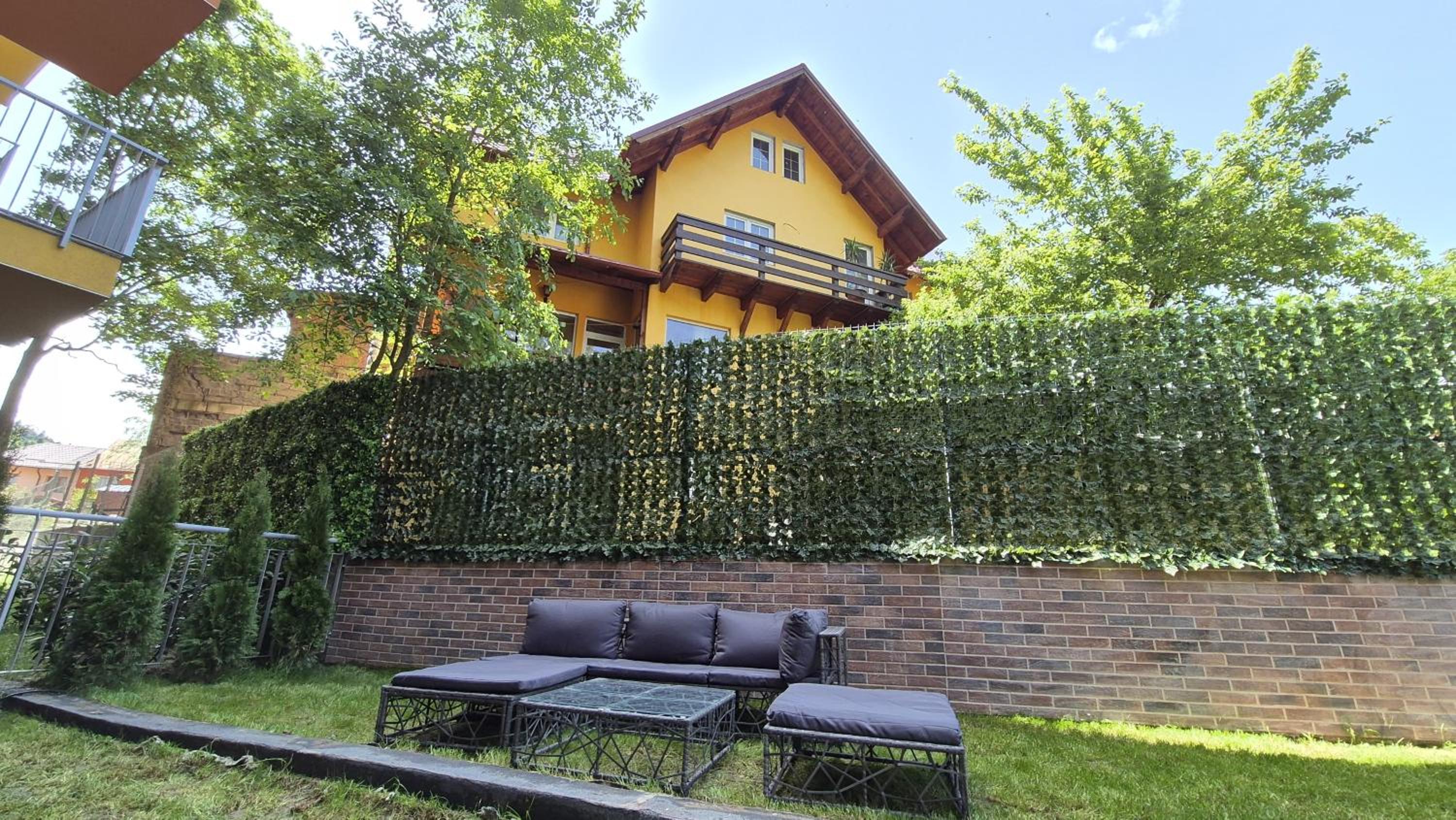 Mountain View with Terrace view 3