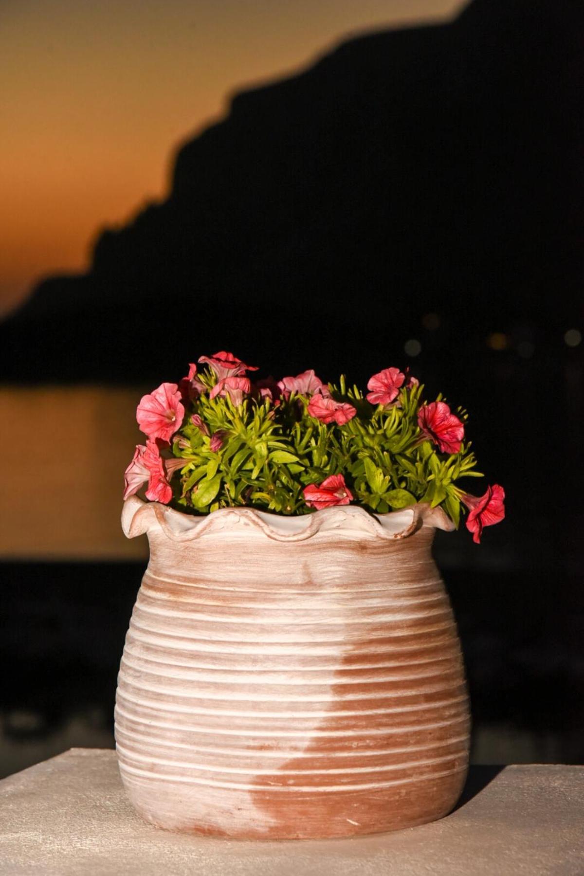 Australia Apartments photo 2