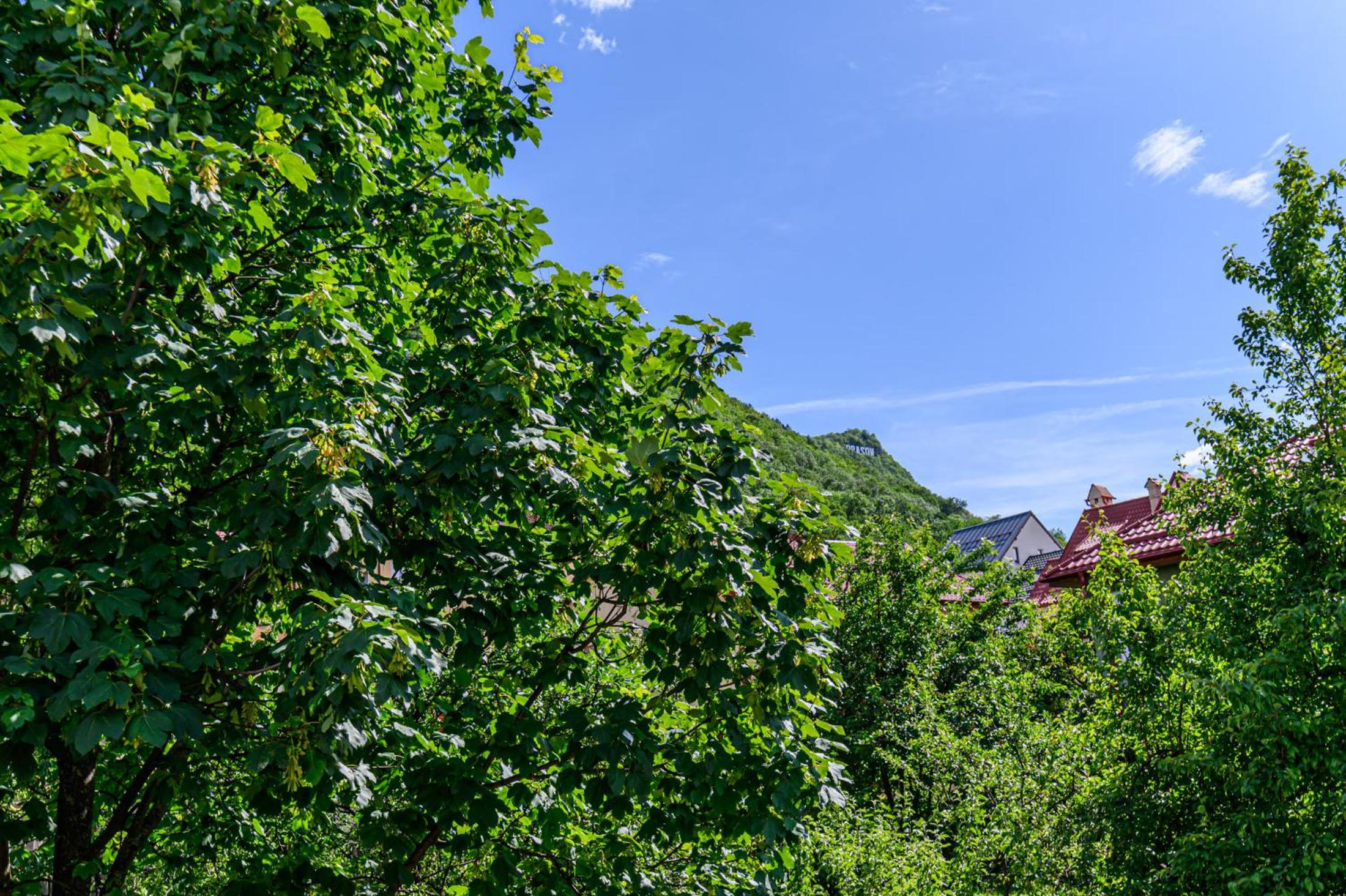 Brasov Central Escape - Rooms & Penthouse