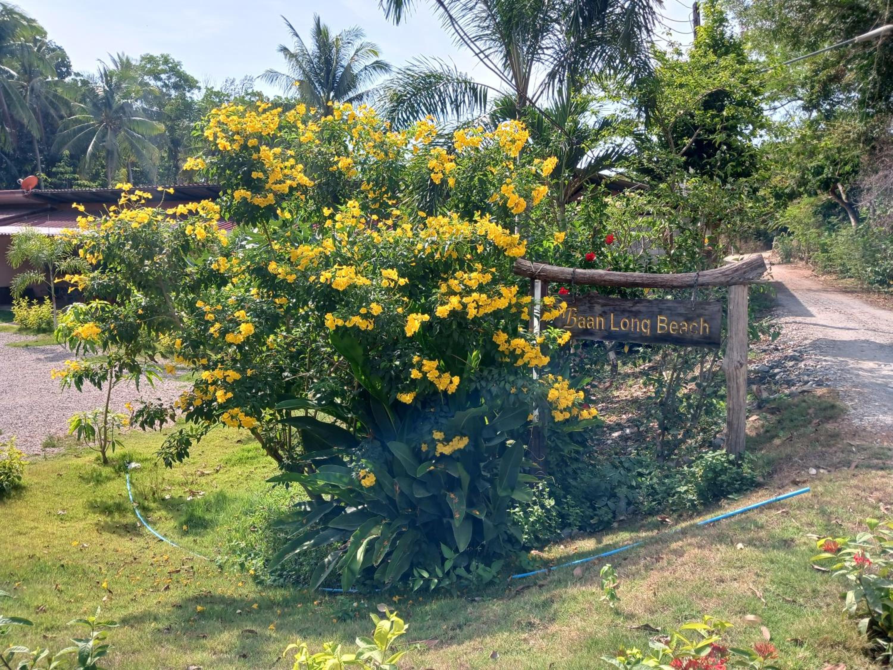 Baan Long Beach