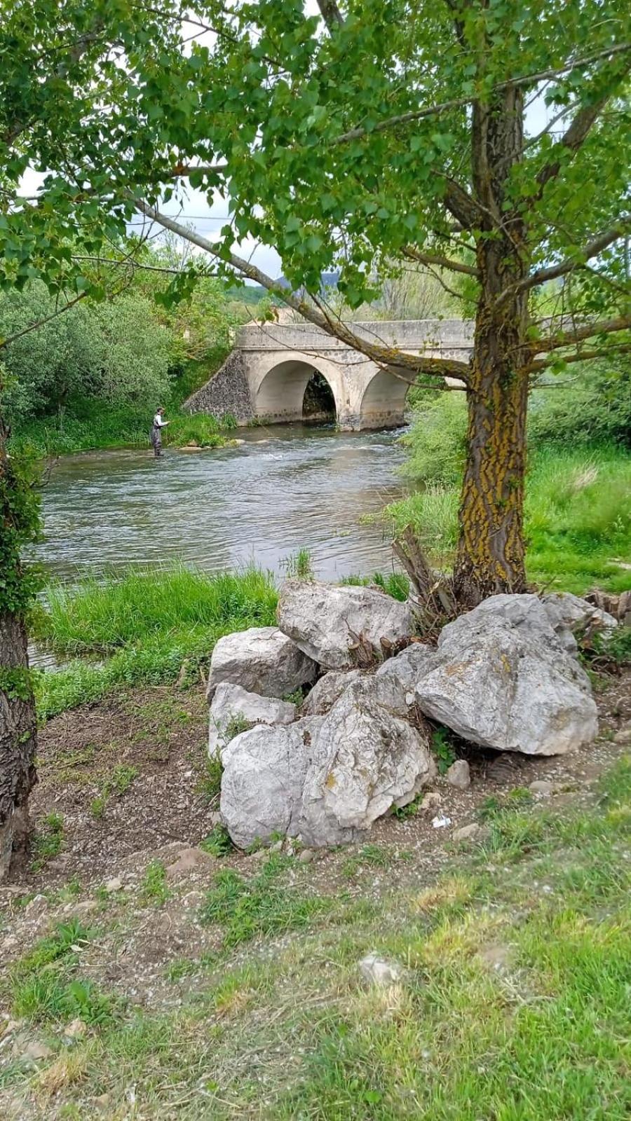Photo 25