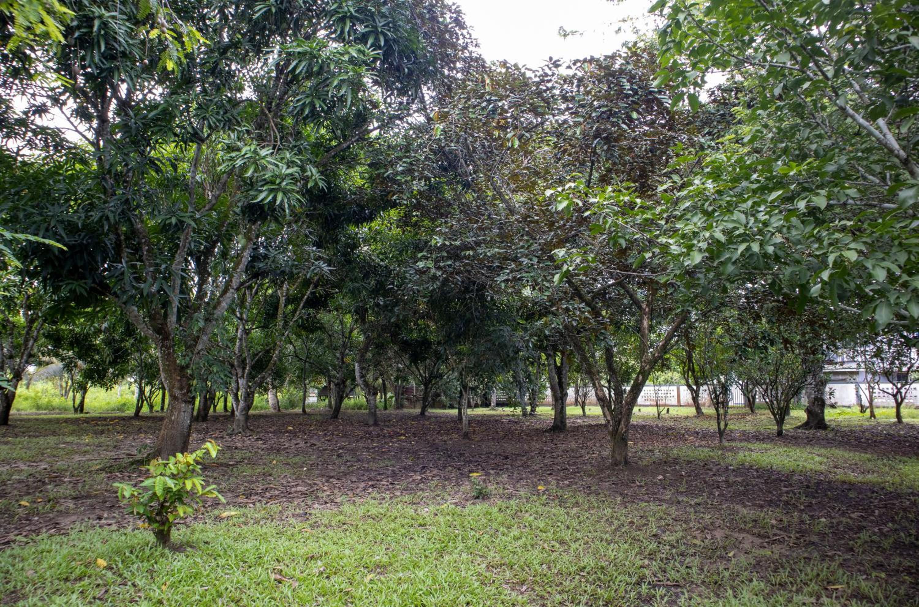 Photo 25