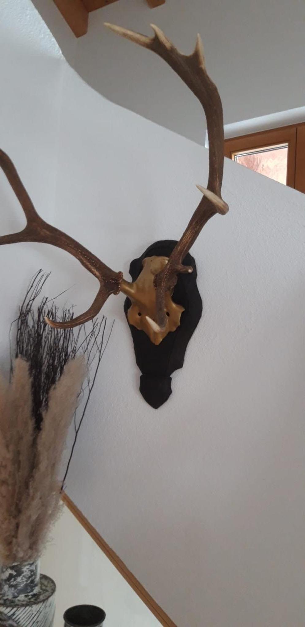 Chalet LAUDEGG