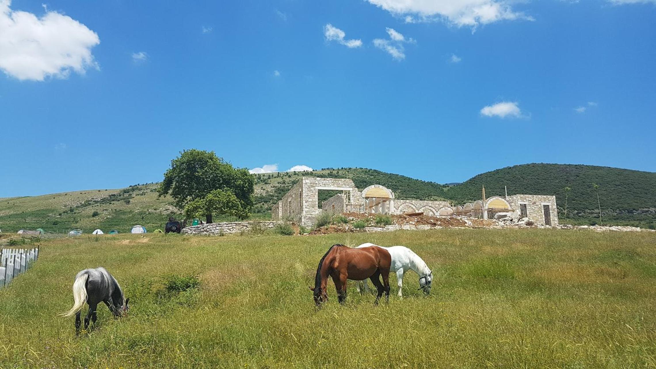 Saffron House Nivica photo 4