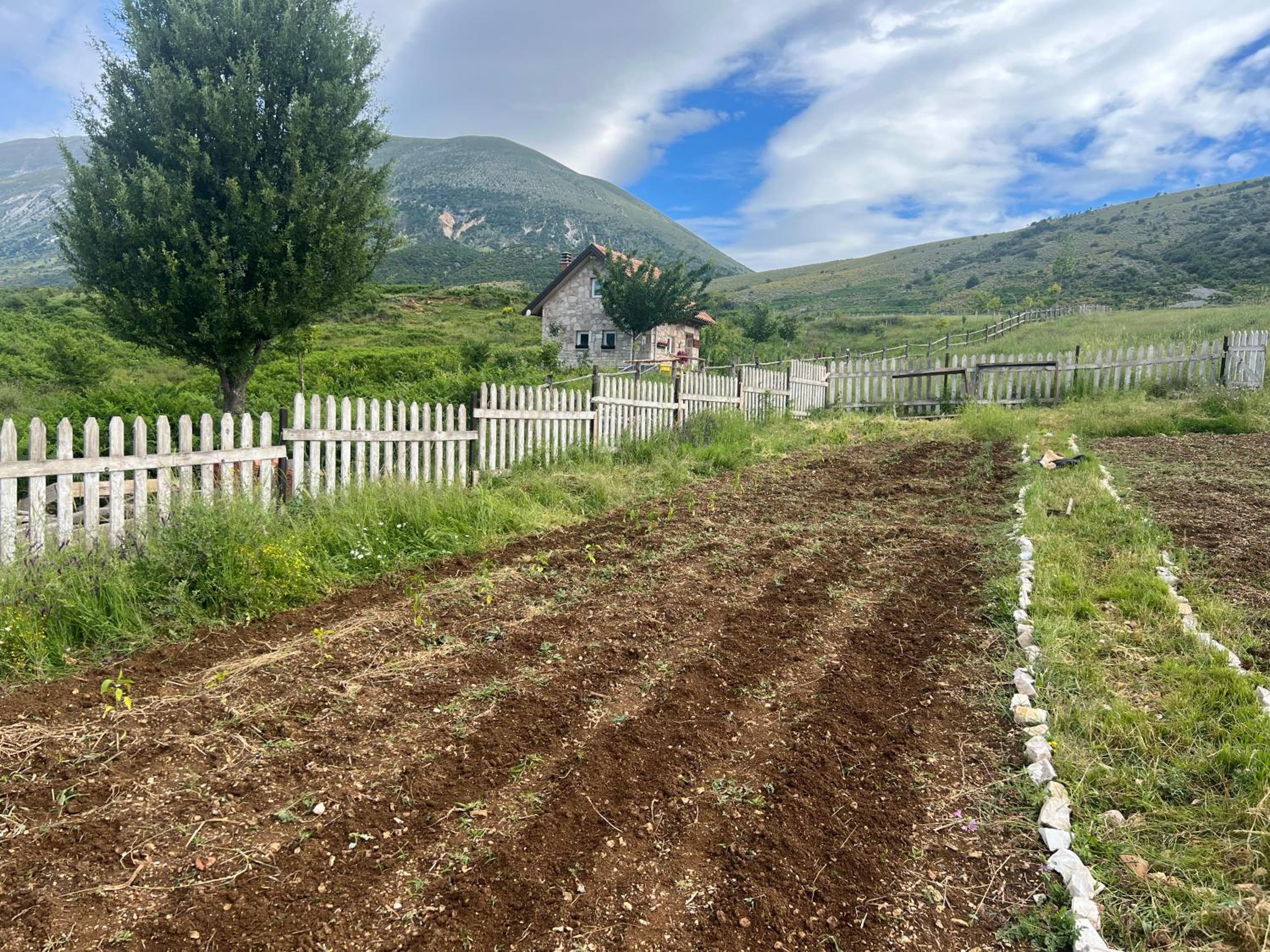 Saffron House Nivica photo 5