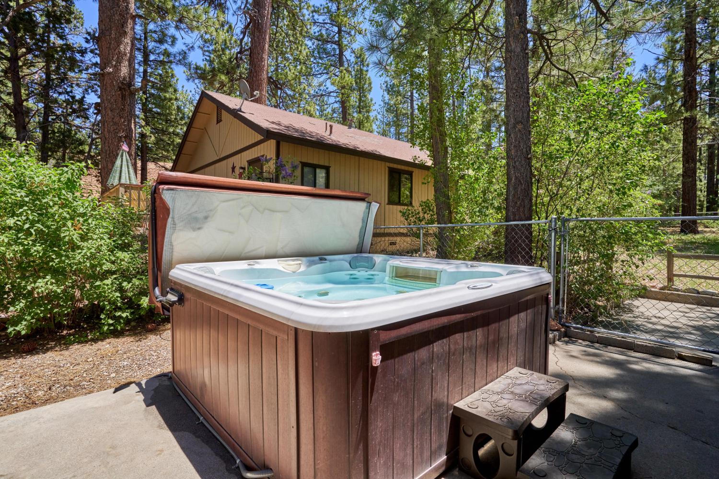 Charming Big Bear Cabin view 4