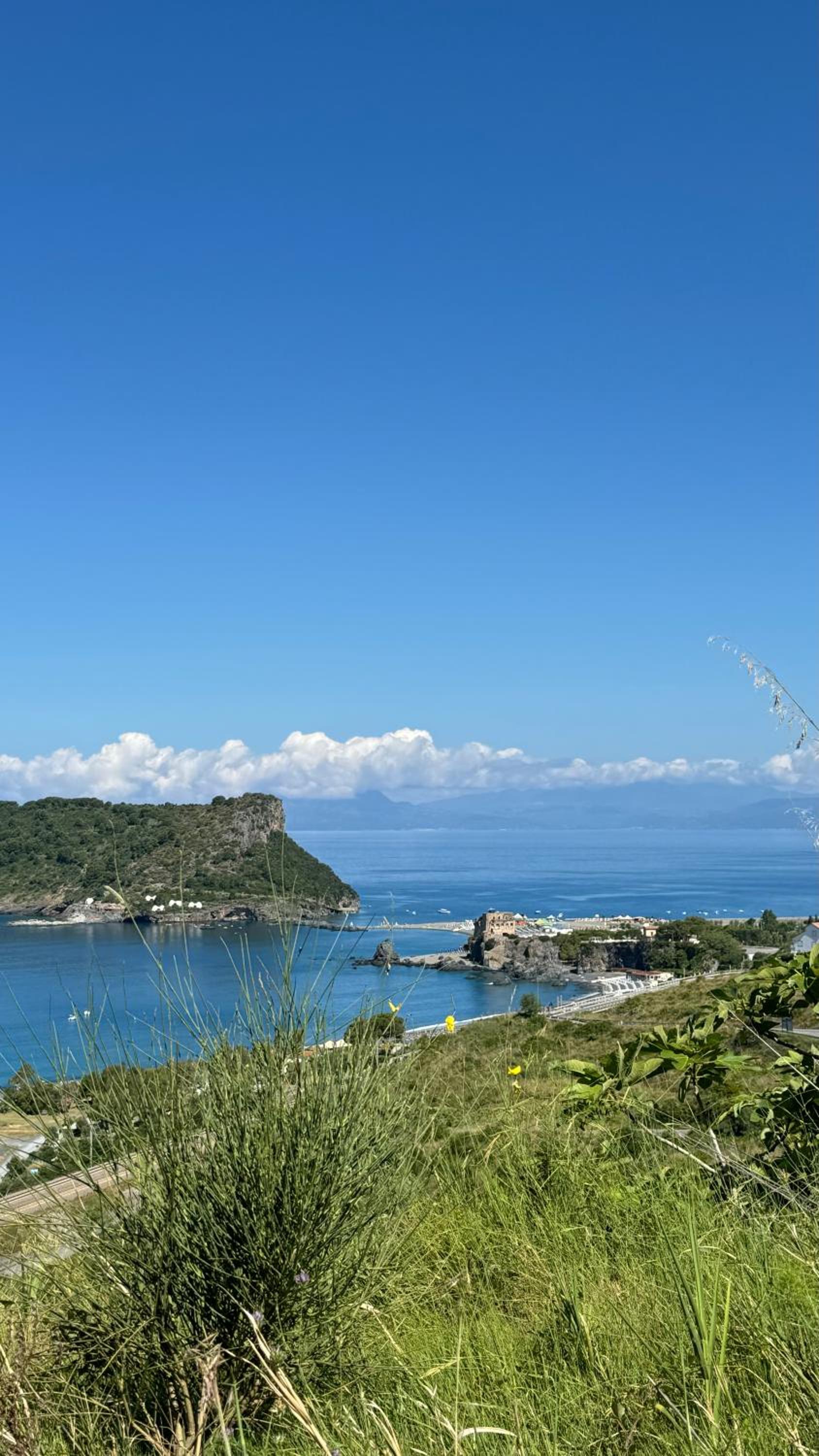 Pura Vida - ArcoMagno - view 4