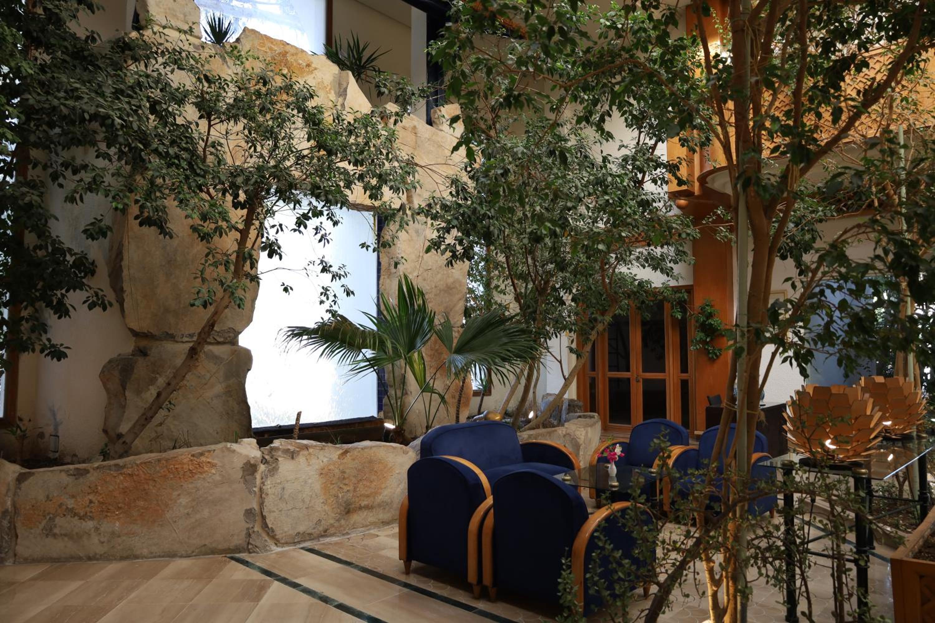 Hammamet Vacations - Tunisia Lodge - Property Image 6