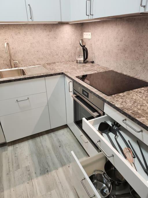 Modern apartment near the center