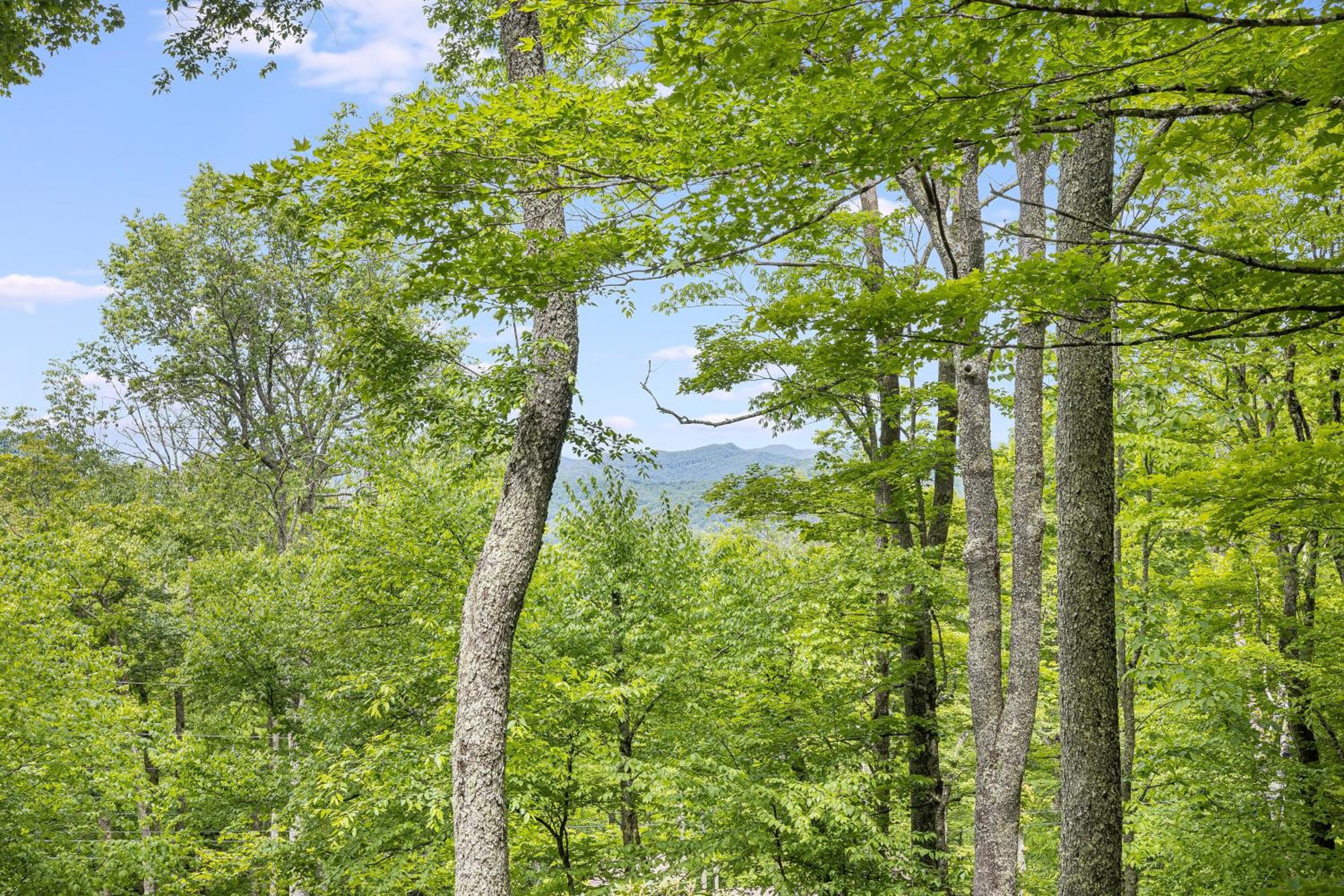 Deck w Forest Views Ping Pong Blue Ridge Mtn Escape Ash Vale by AvantStay