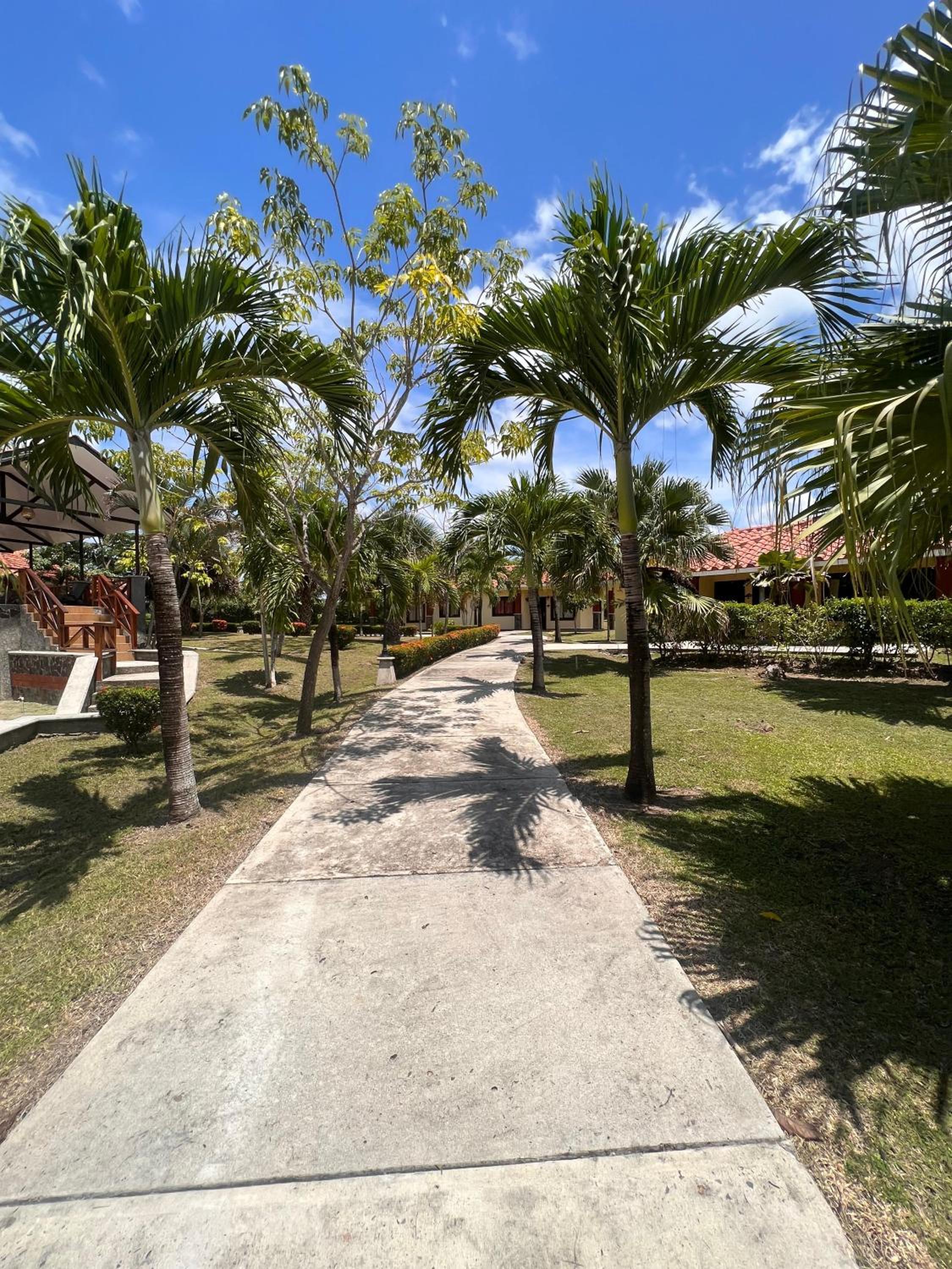 PH Las Palmas de Hato Viejo view 3