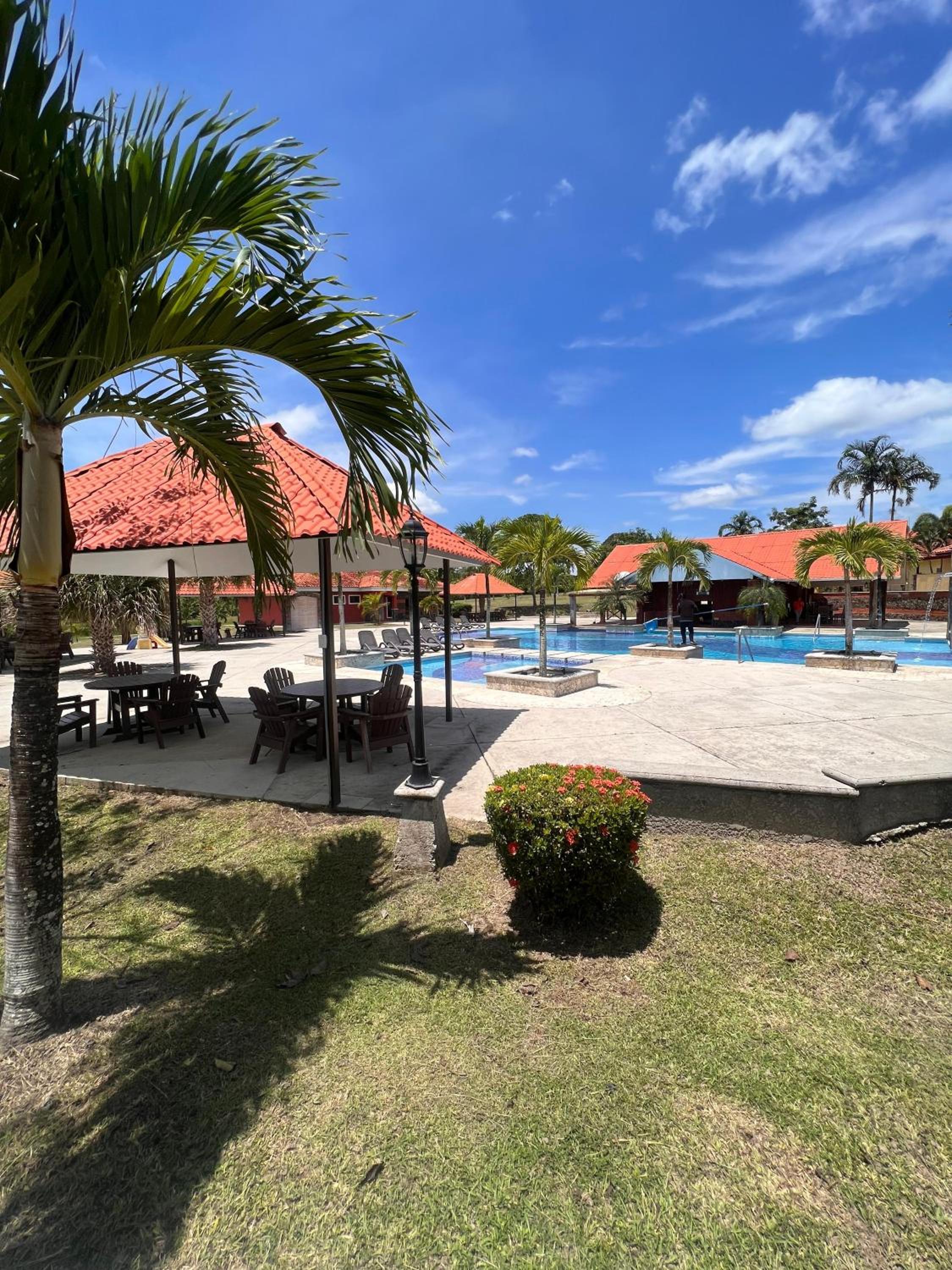 PH Las Palmas de Hato Viejo view 5