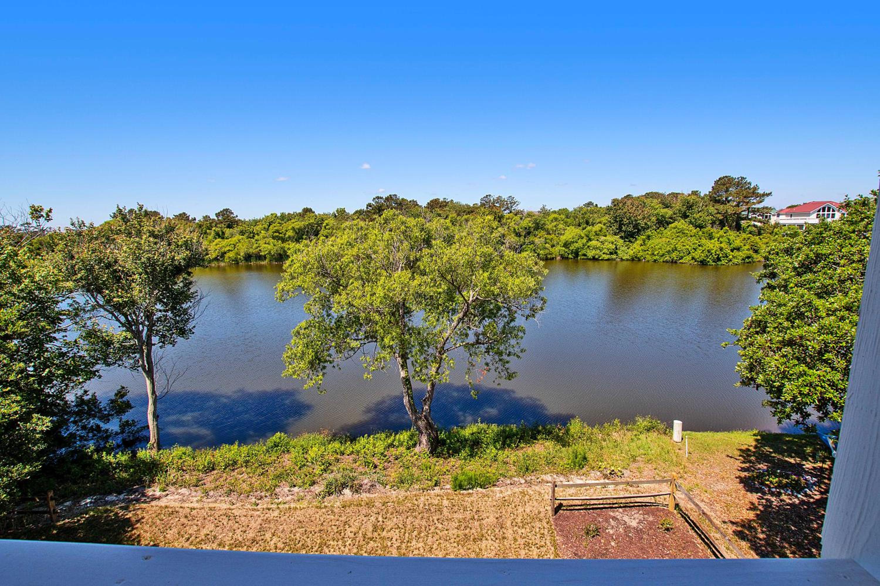 Photo 46