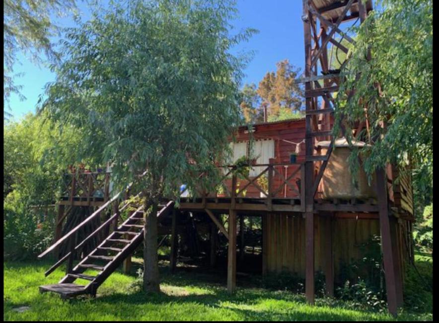 Casa Reina Delta