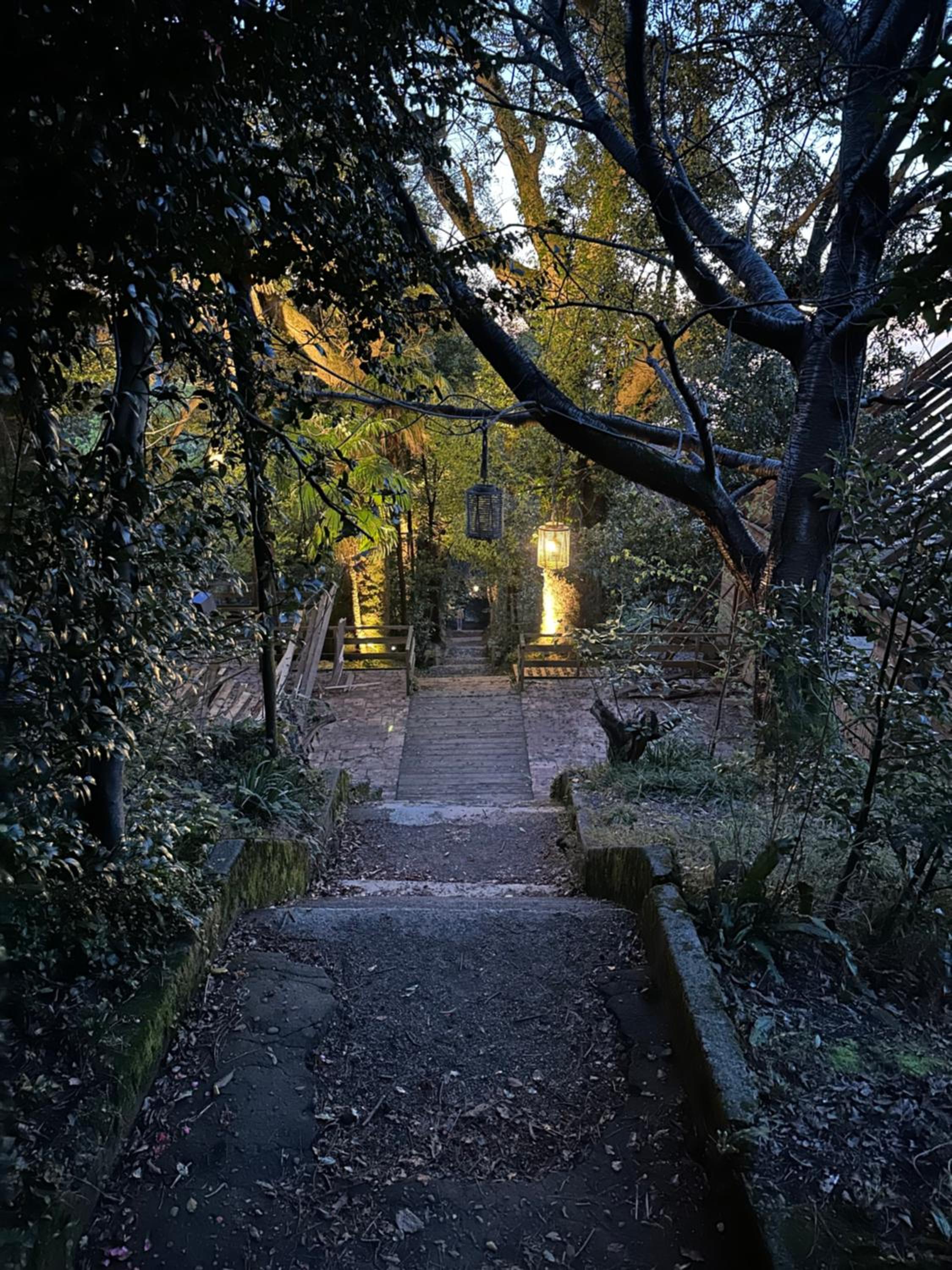 Agora Sundeck Tsikhisdziri