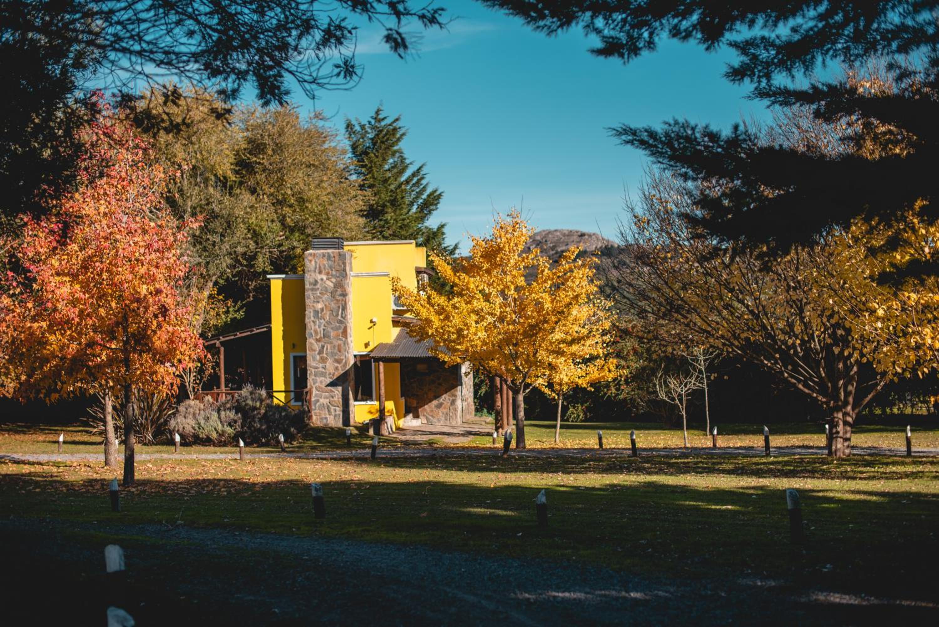 building