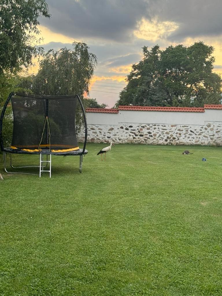 Vila Teo