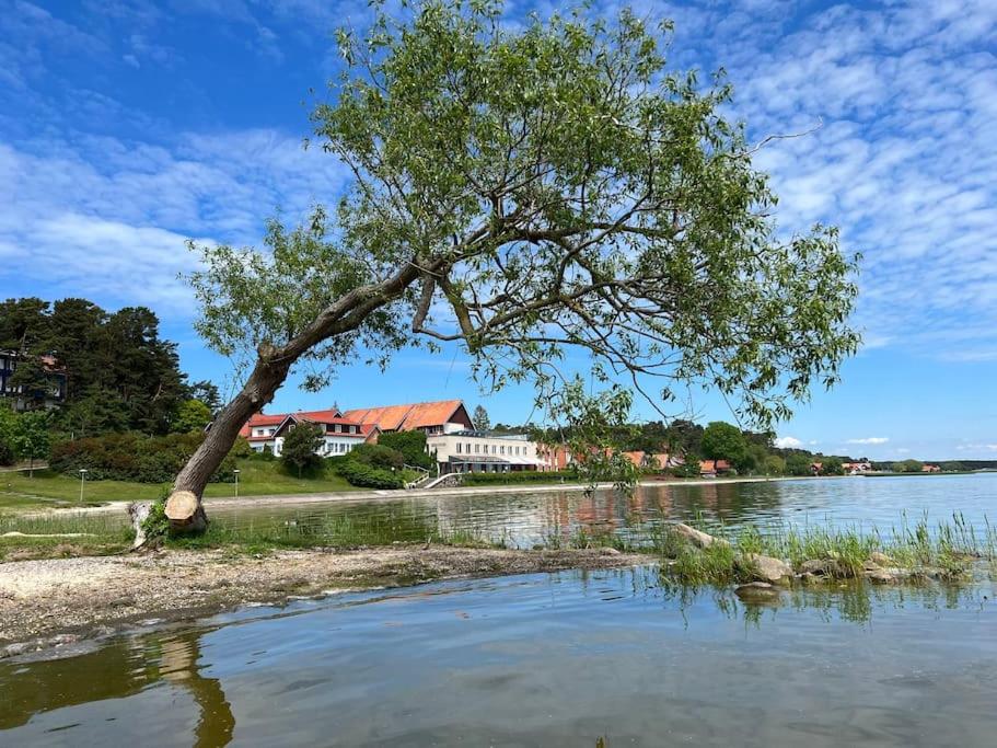 Marių apartamentai Nida