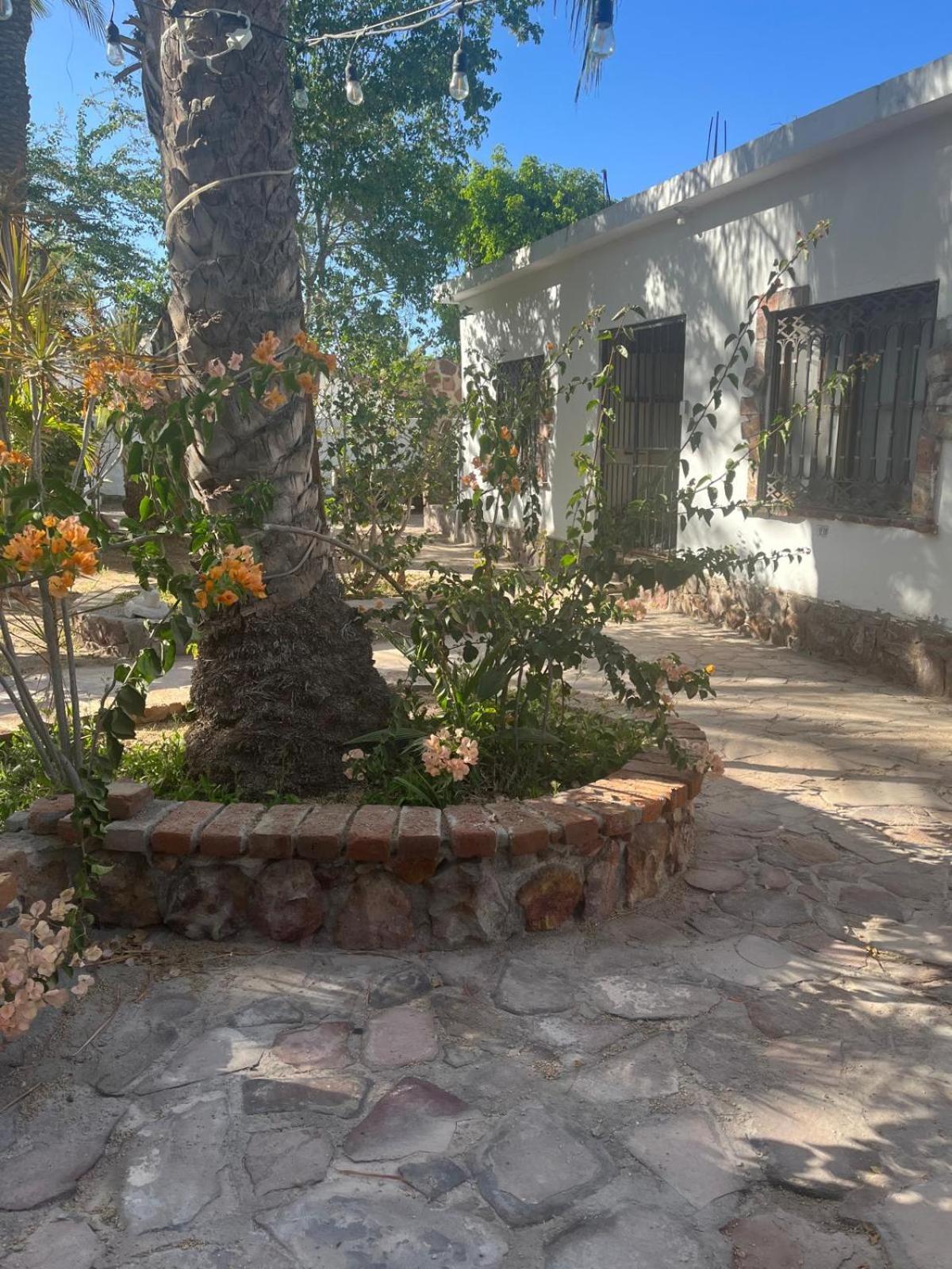 Casas Rio Mulege view 2