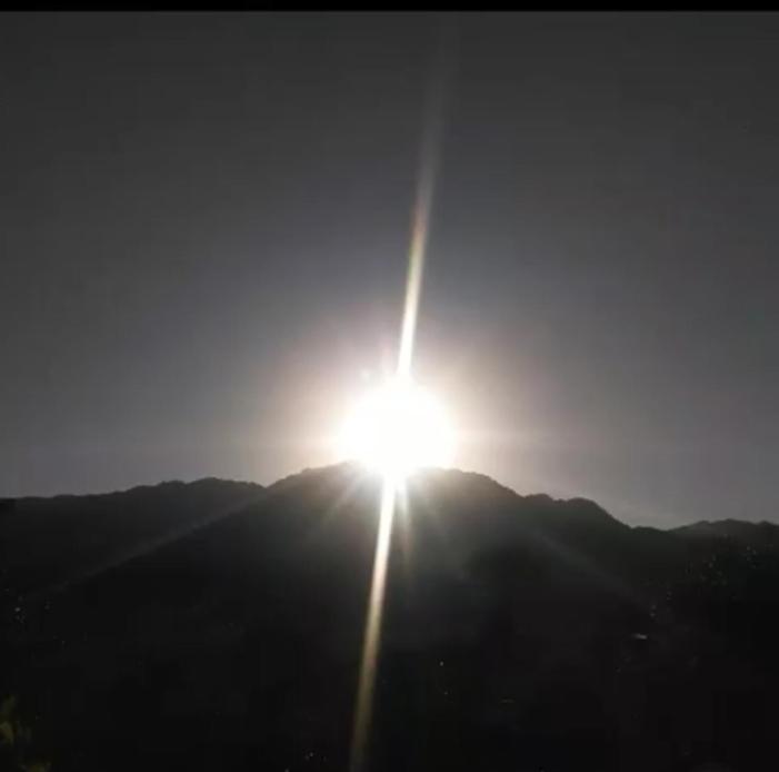 Palmares al cerro