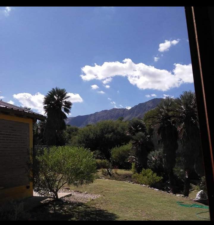 Palmares al cerro