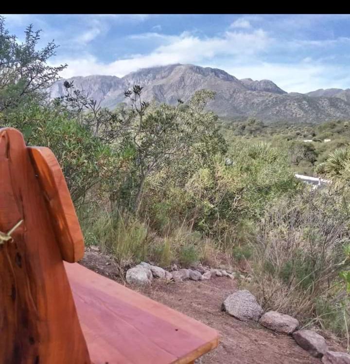 Palmares al cerro