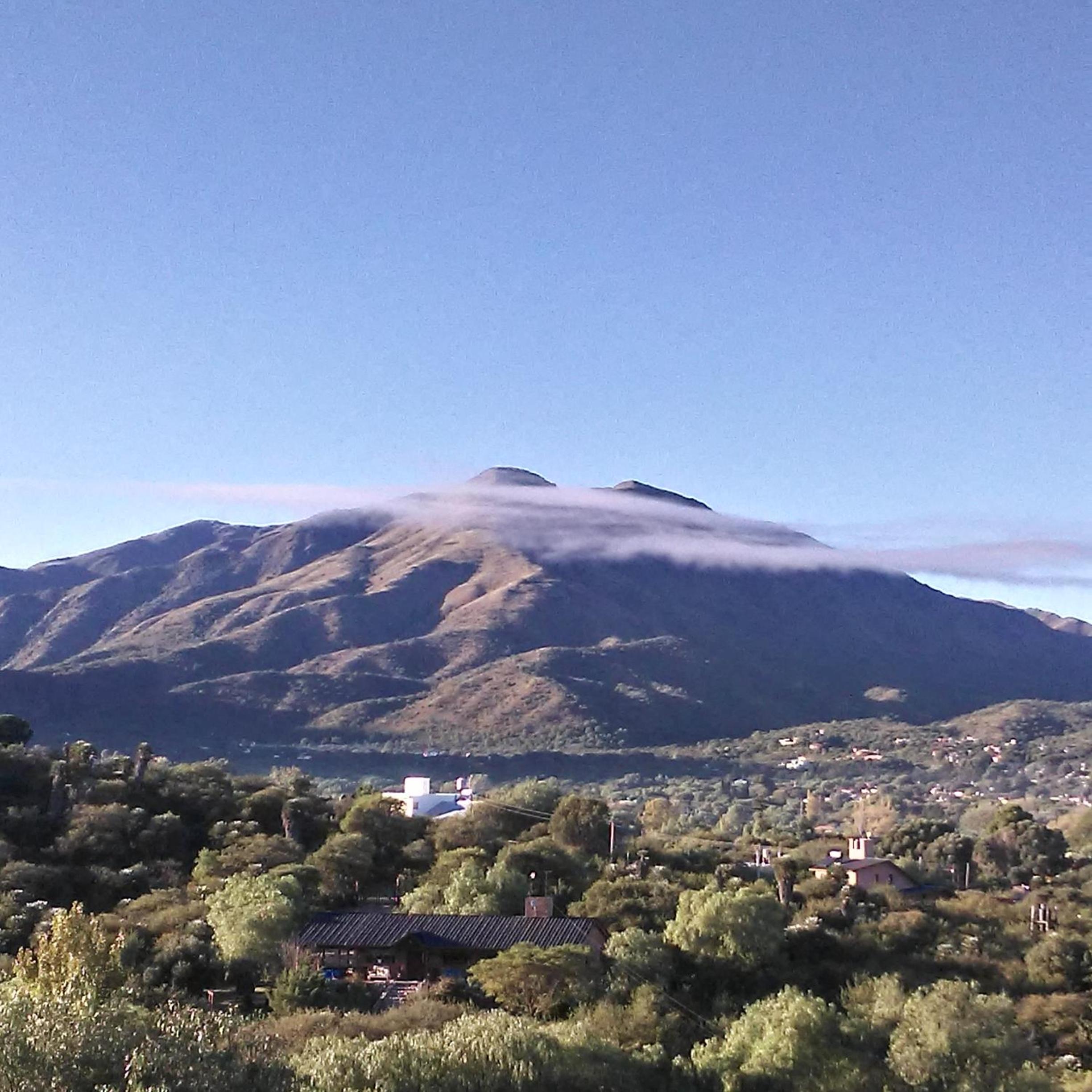 Palmares al cerro