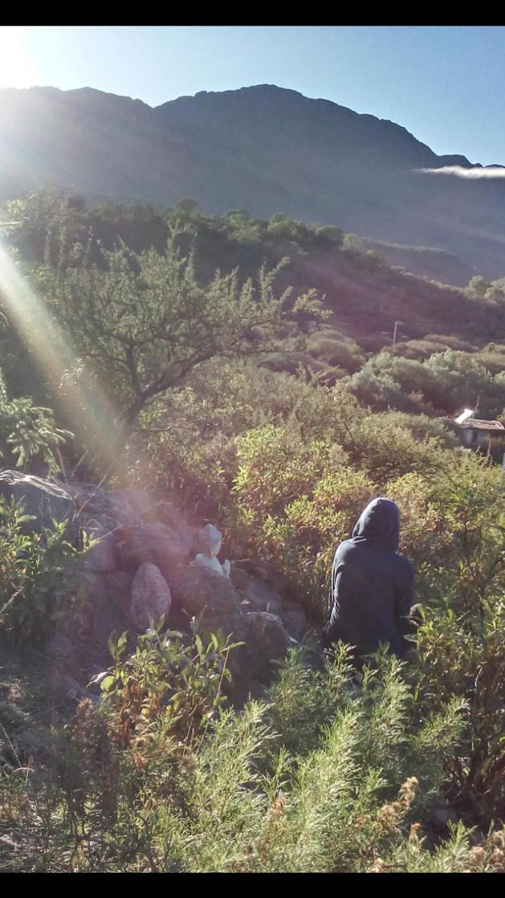 Palmares al cerro