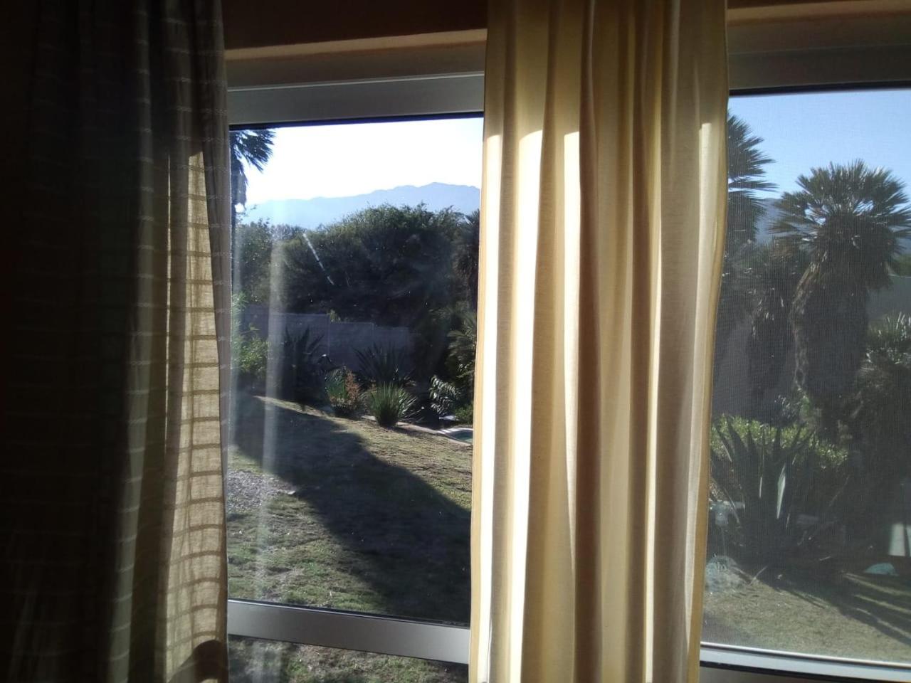 Palmares al cerro