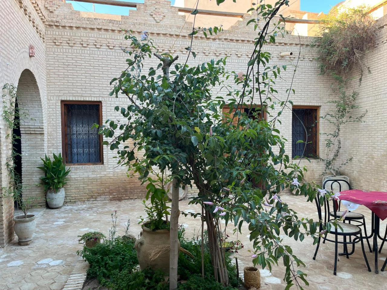 Tozeur Vacations - Maison de Vacances "Dar Khalifa" - Property Image 39