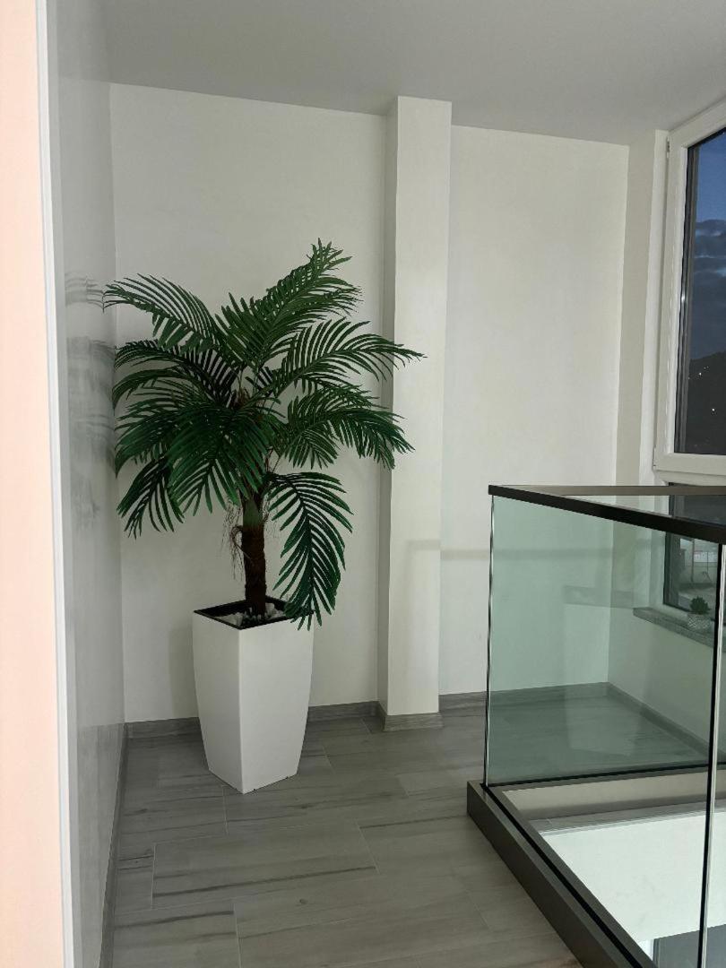 Maja Apartmani