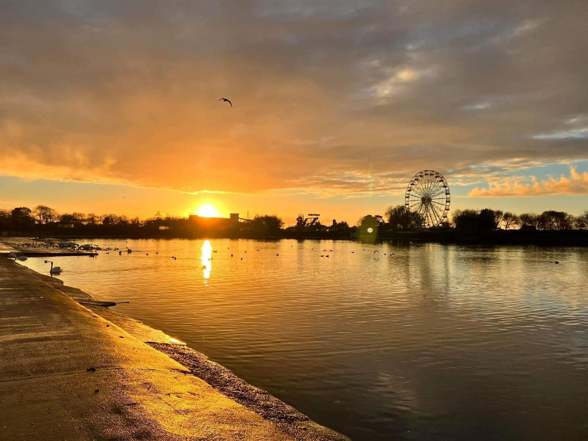 Lakeside View