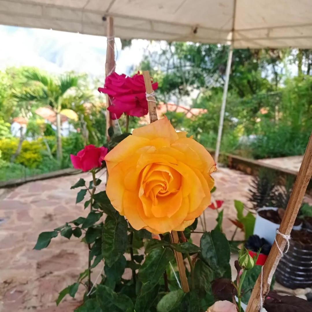 Cabaña Villa Esperanza